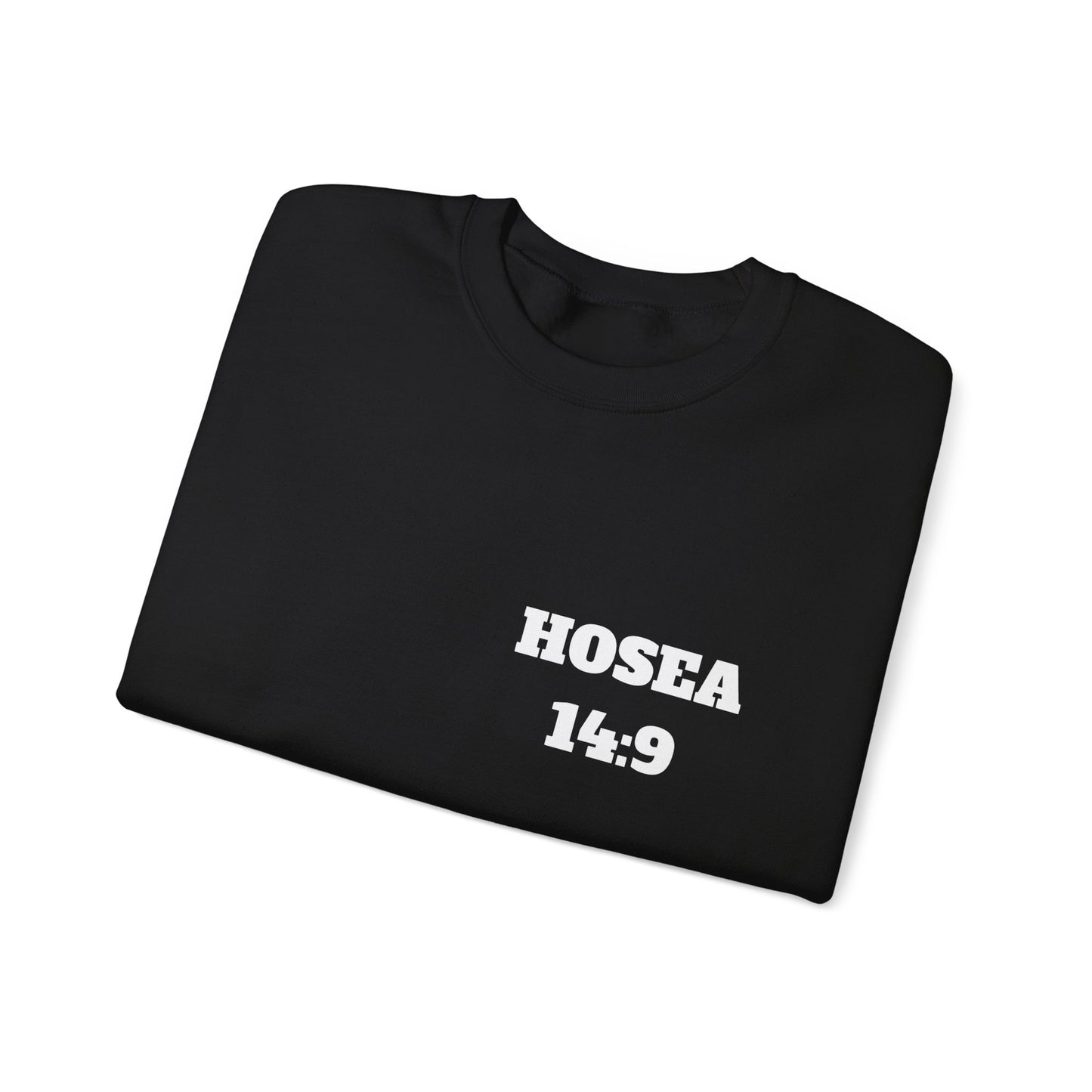 Hosea 14:9 Christian Sweatshirt, Christian Gifts, Christian Back To School Gifts, Church Outfits