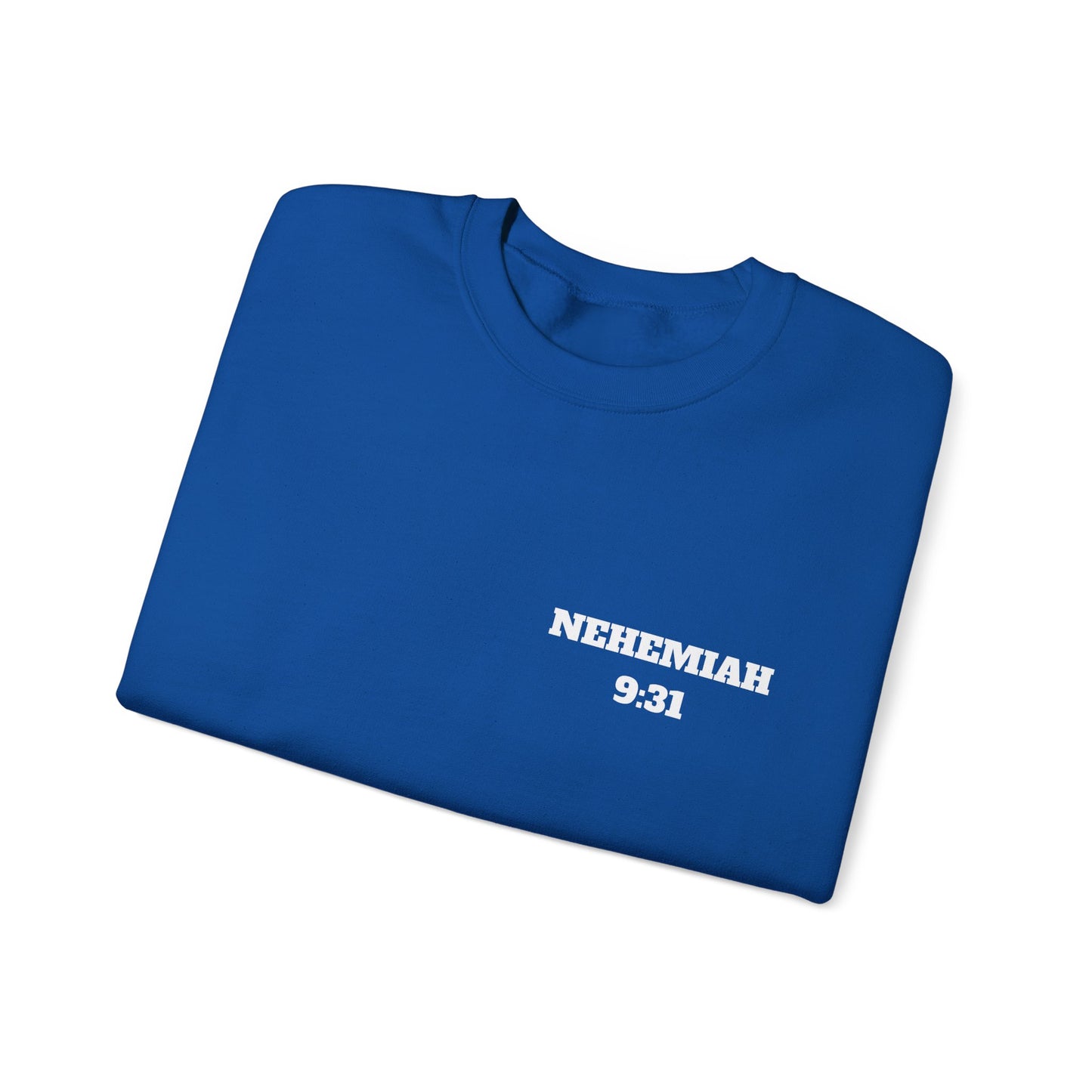 Nehemiah 9:31 Christian Sweatshirt, Christian Gifts, Christian Back To School Gifts, Church Outfits