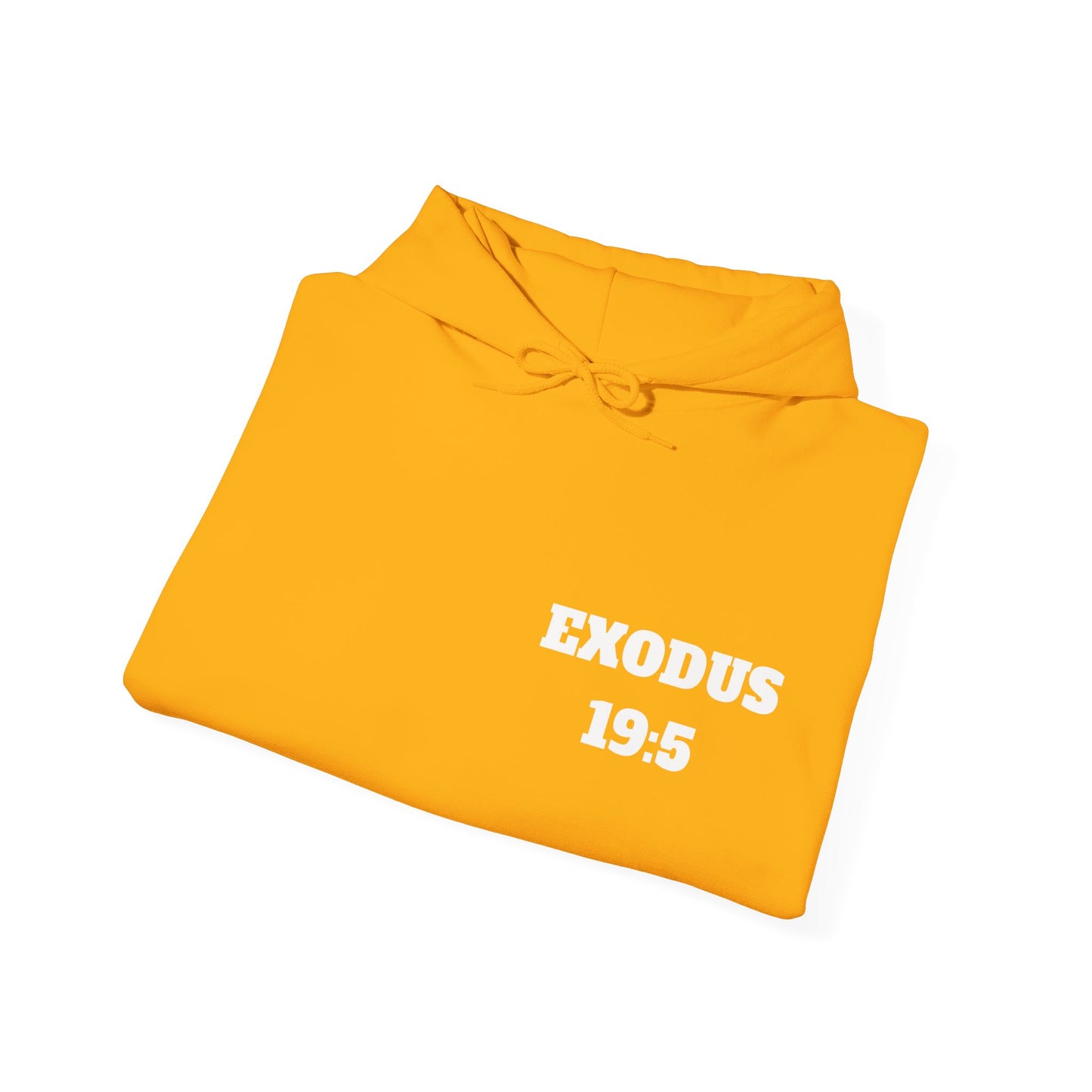 Exodus 19:5 Christian Hoodie, Christian Gifts, Christian Back To School Gifts, Trendy Christian Apparel