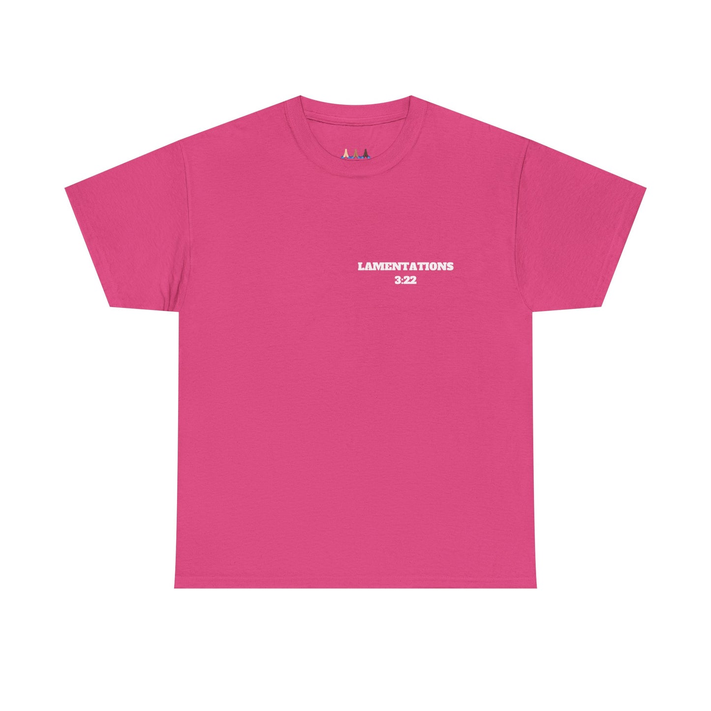 Lamentations 3:22 Christian T-Shirt, Christian Gifts, Christian Back To School Gifts, Trendy Christian Apparel