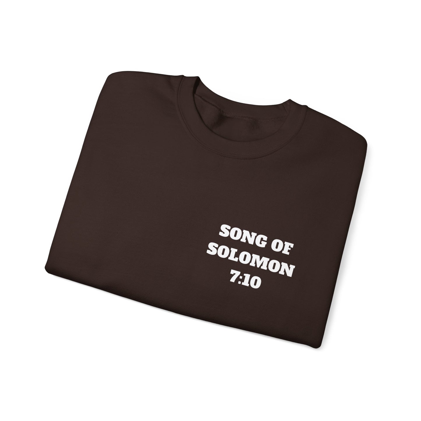 Song Of Solomon Christian Sweatshirt, Christian Gifts, Christian Back To School Gifts, Church Outfits
