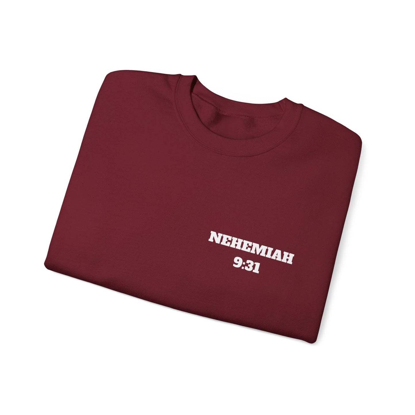 Nehemiah 9:31 Christian Sweatshirt, Christian Gifts, Christian Back To School Gifts, Church Outfits