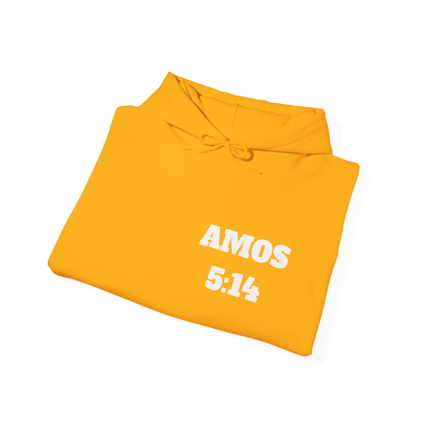 Amos 5:14 Christian T-Shirt, Christian Gifts, Christian Back To School Gifts, Trendy Christian Apparel
