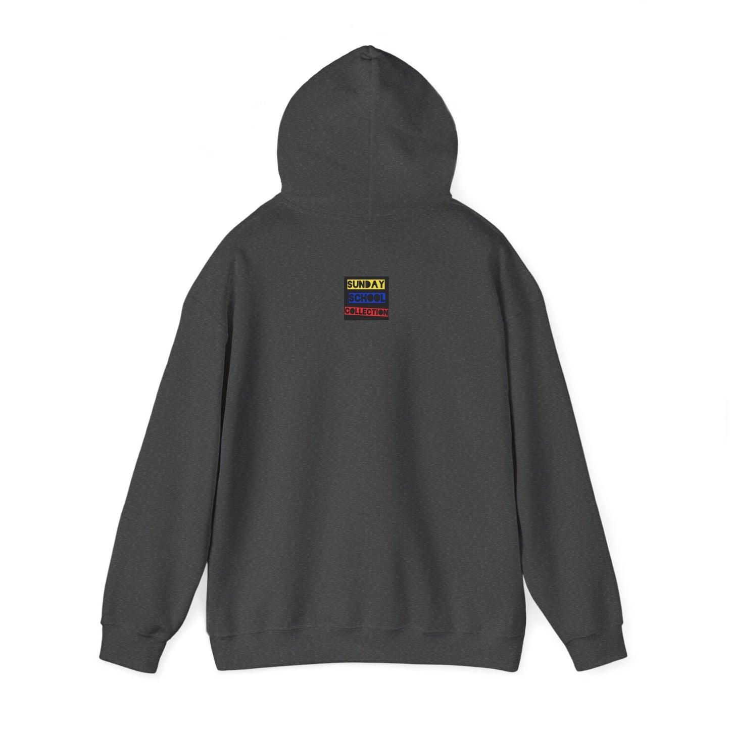1 Samuel 17:47 Christian Hoodie, Christian Gifts, Christian Back To School Gifts, Trendy Christian Apparel
