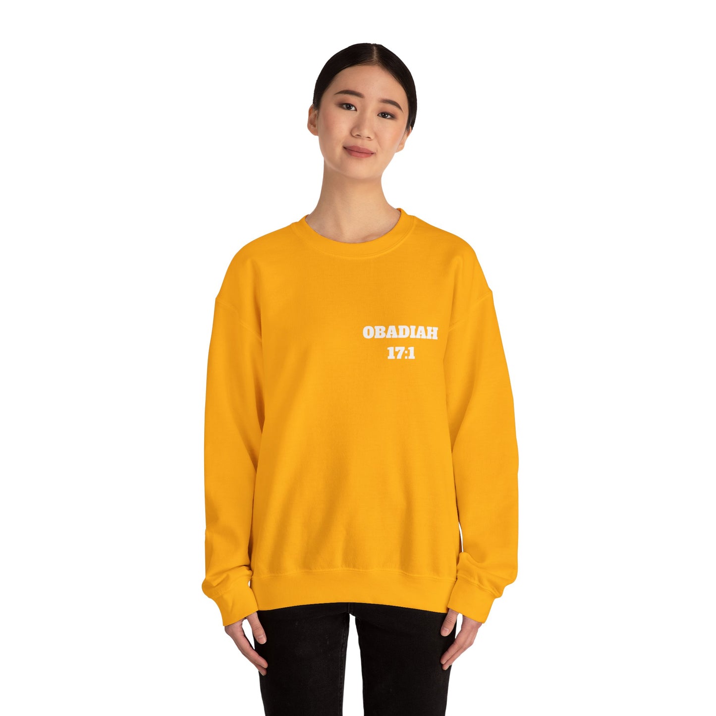 Obadiah 17:1 Christian Sweatshirt, Christian Gifts, Christian Back To School Gifts, Church Outfits