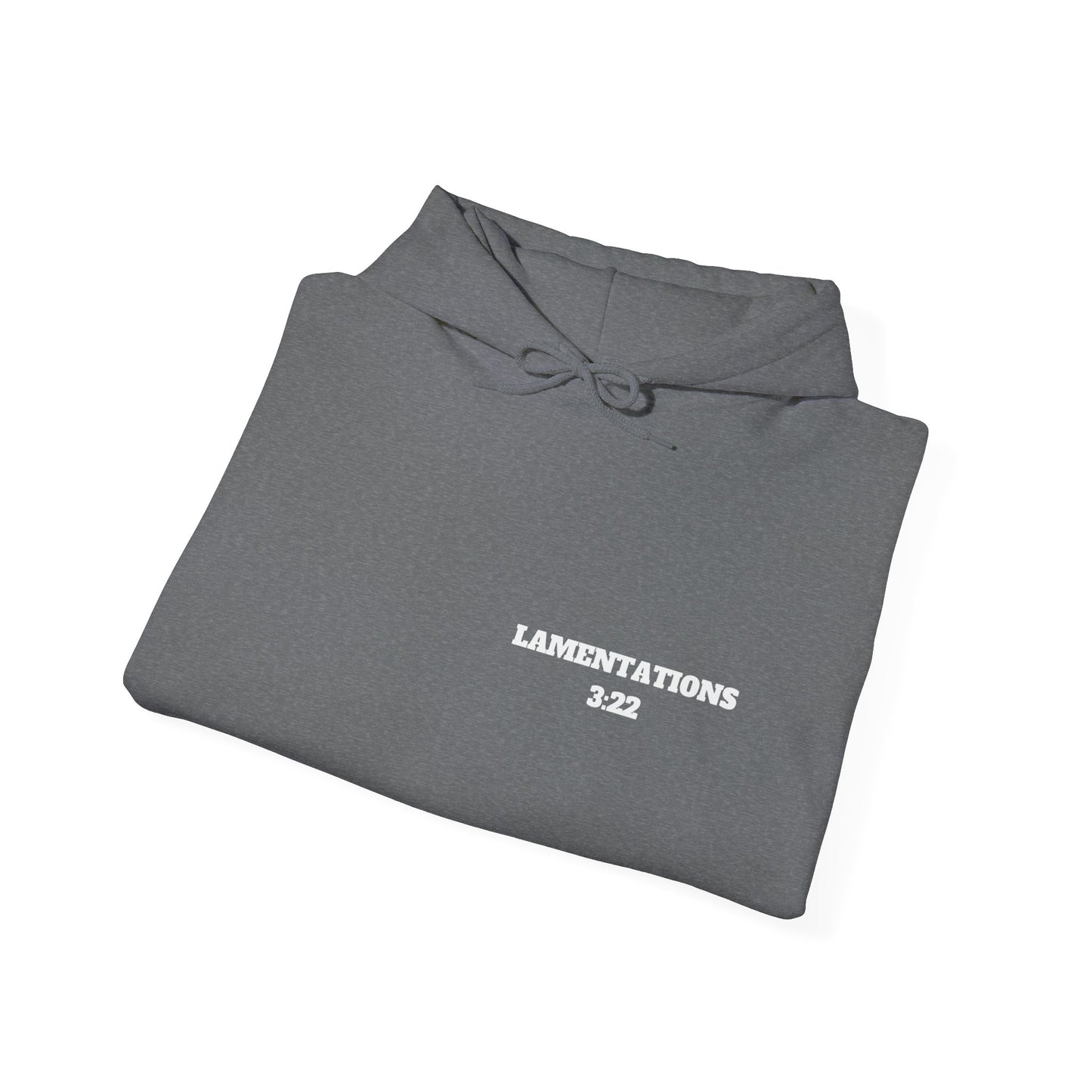 Lamentations 3:22 Christian Hoodie, Christian Gifts, Christian Back To School Gifts, Trendy Christian Apparel
