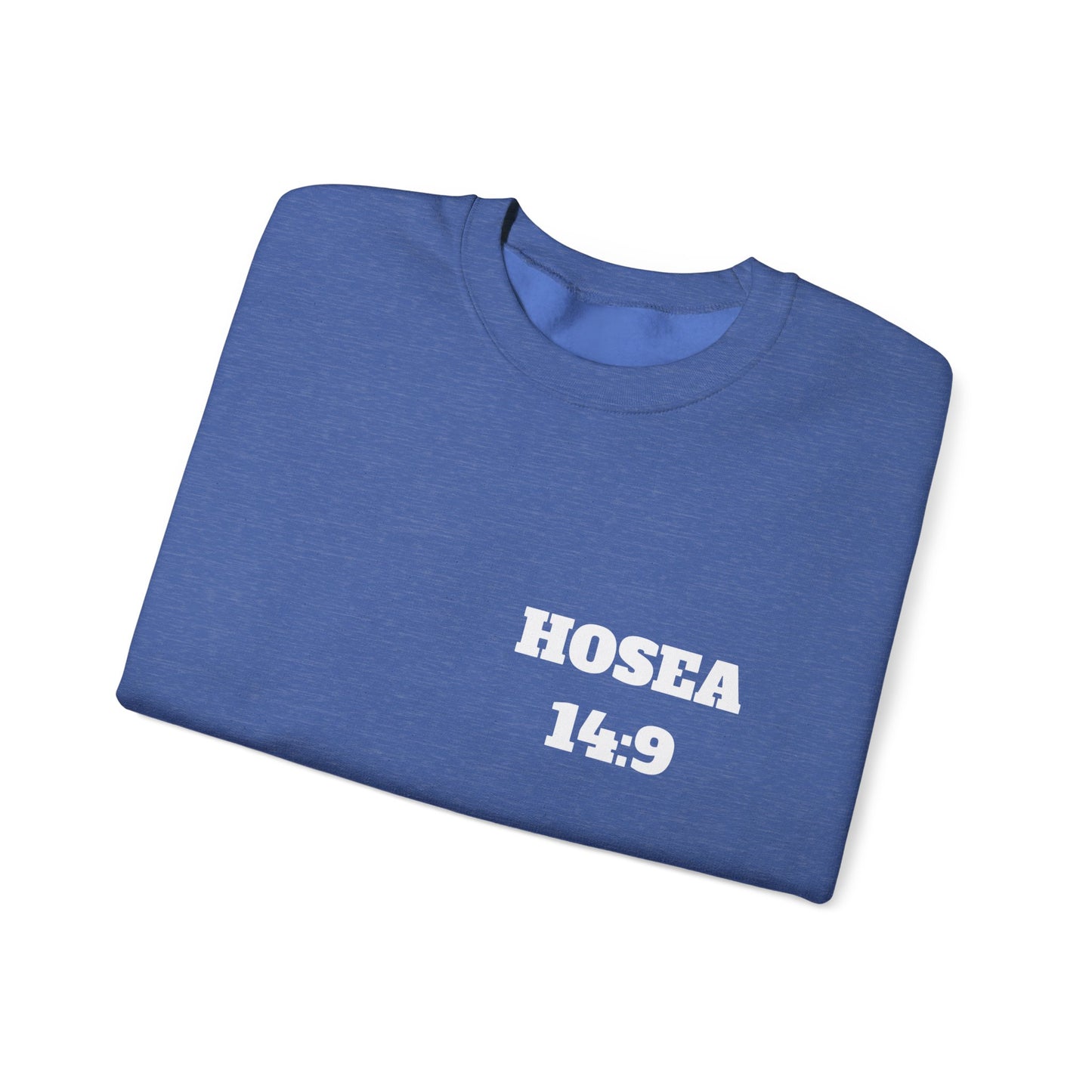 Hosea 14:9 Christian Sweatshirt, Christian Gifts, Christian Back To School Gifts, Church Outfits