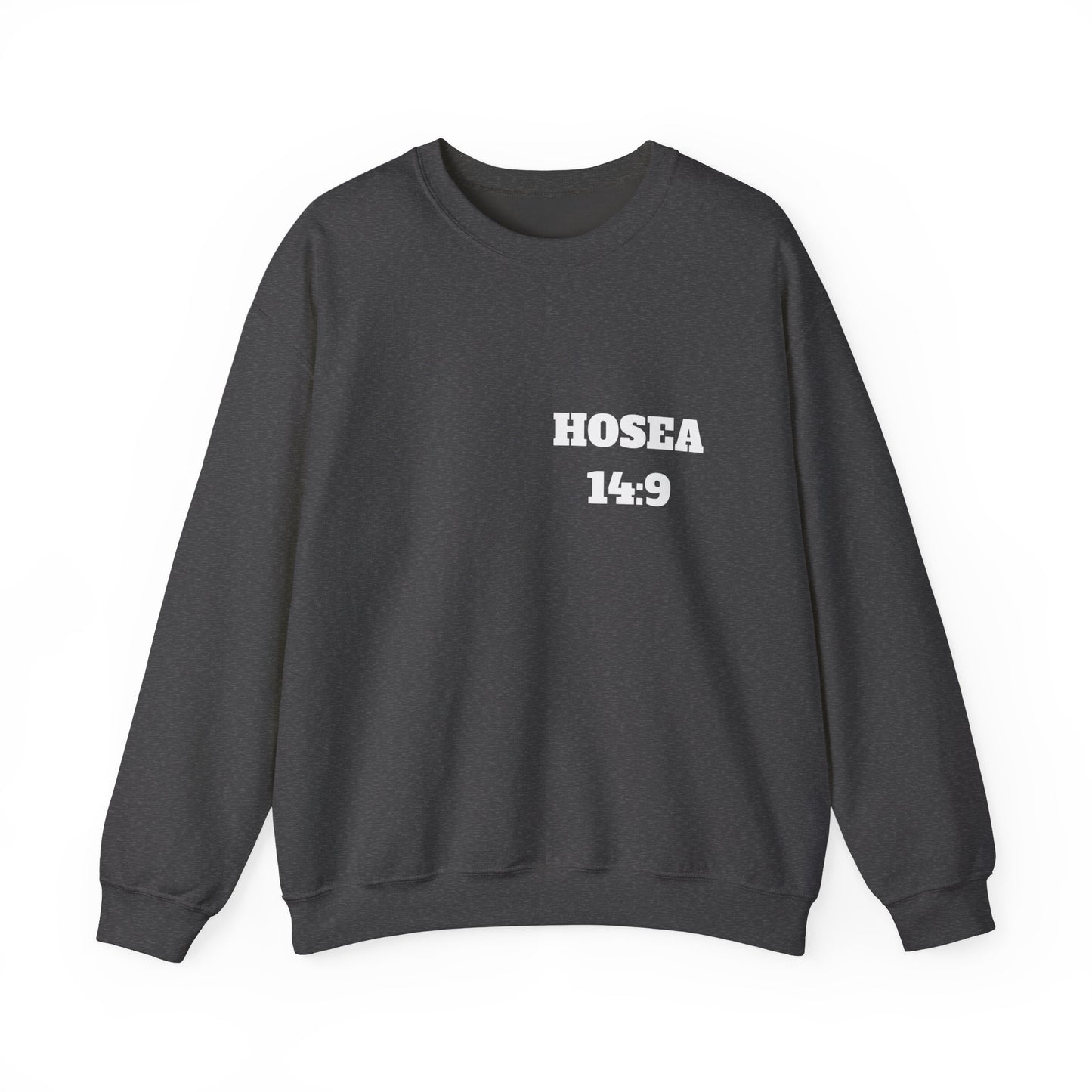 Hosea 14:9 Christian Sweatshirt, Christian Gifts, Christian Back To School Gifts, Church Outfits