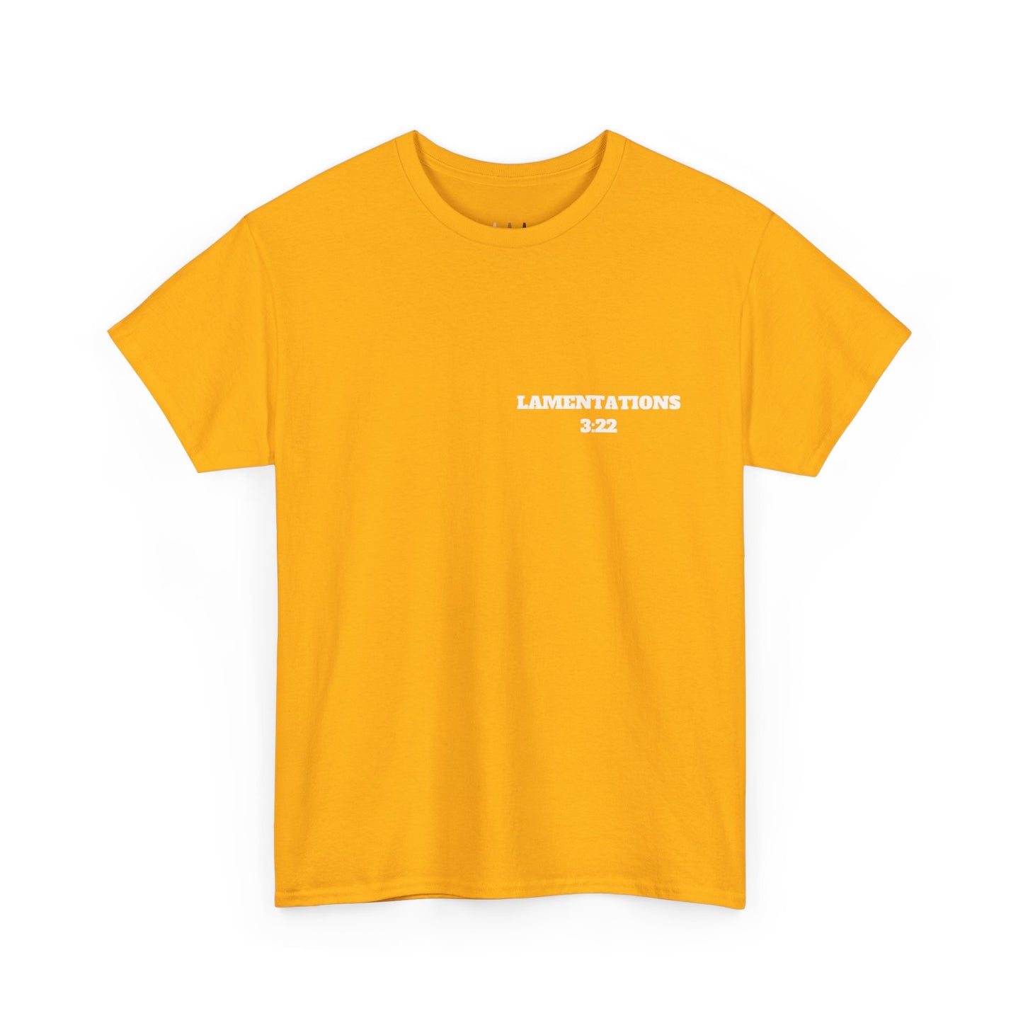 Lamentations 3:22 Christian T-Shirt, Christian Gifts, Christian Back To School Gifts, Trendy Christian Apparel