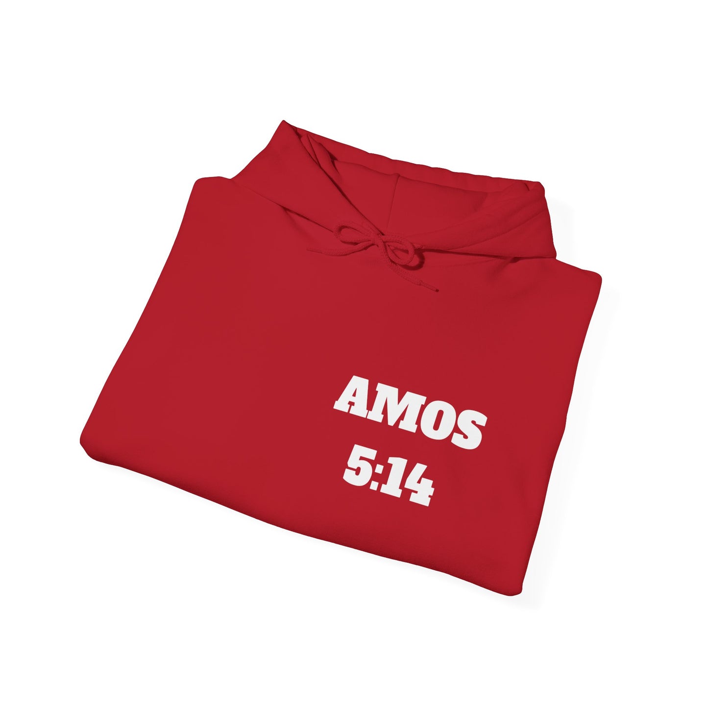 Amos 5:14 Christian T-Shirt, Christian Gifts, Christian Back To School Gifts, Trendy Christian Apparel