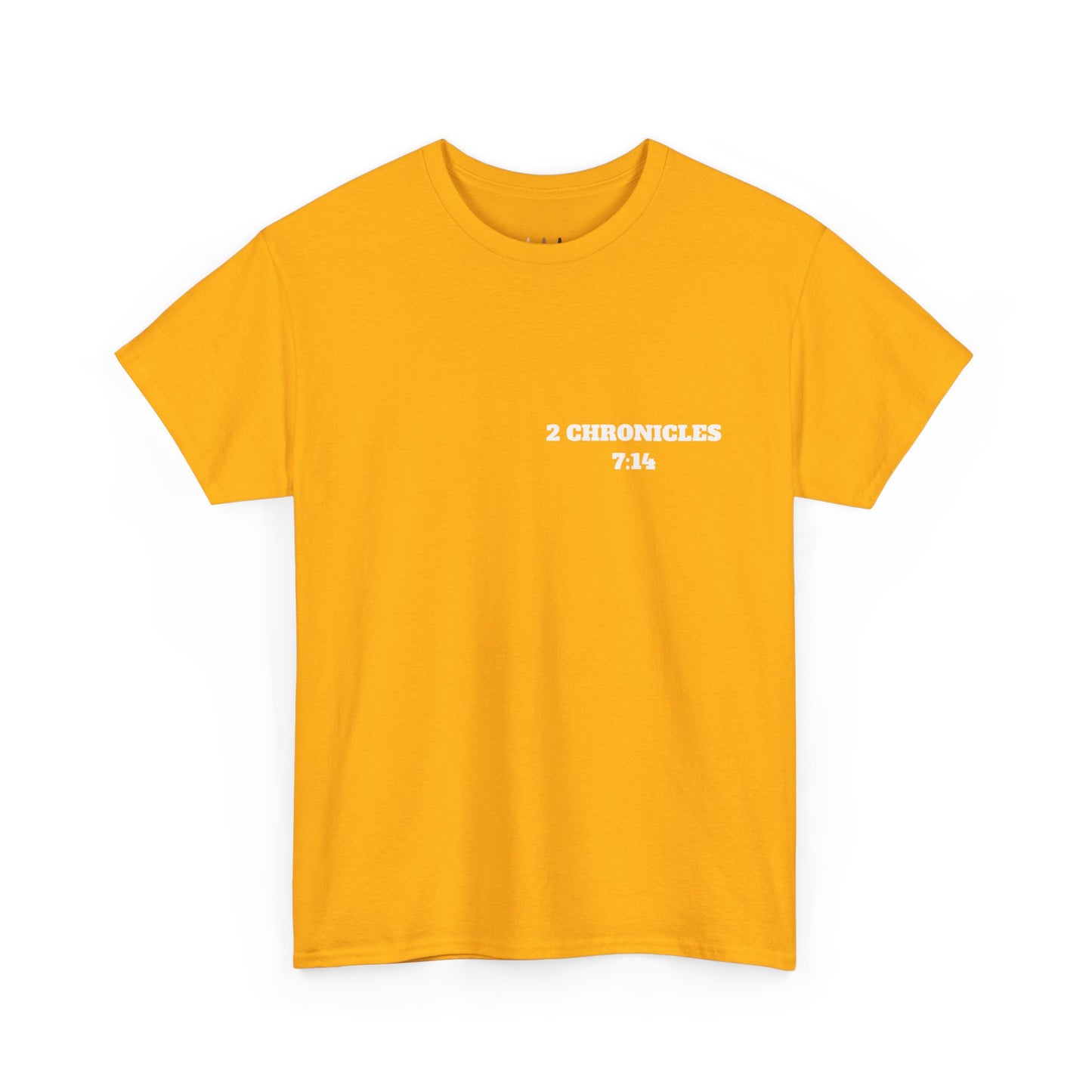 2 Chronicles 7:14 Christian T-Shirt, Christian Gifts, Christian Back To School Gifts, Trendy Christian Apparel