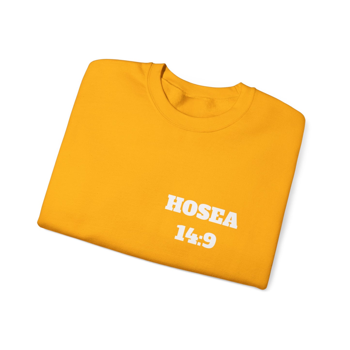 Hosea 14:9 Christian Sweatshirt, Christian Gifts, Christian Back To School Gifts, Church Outfits