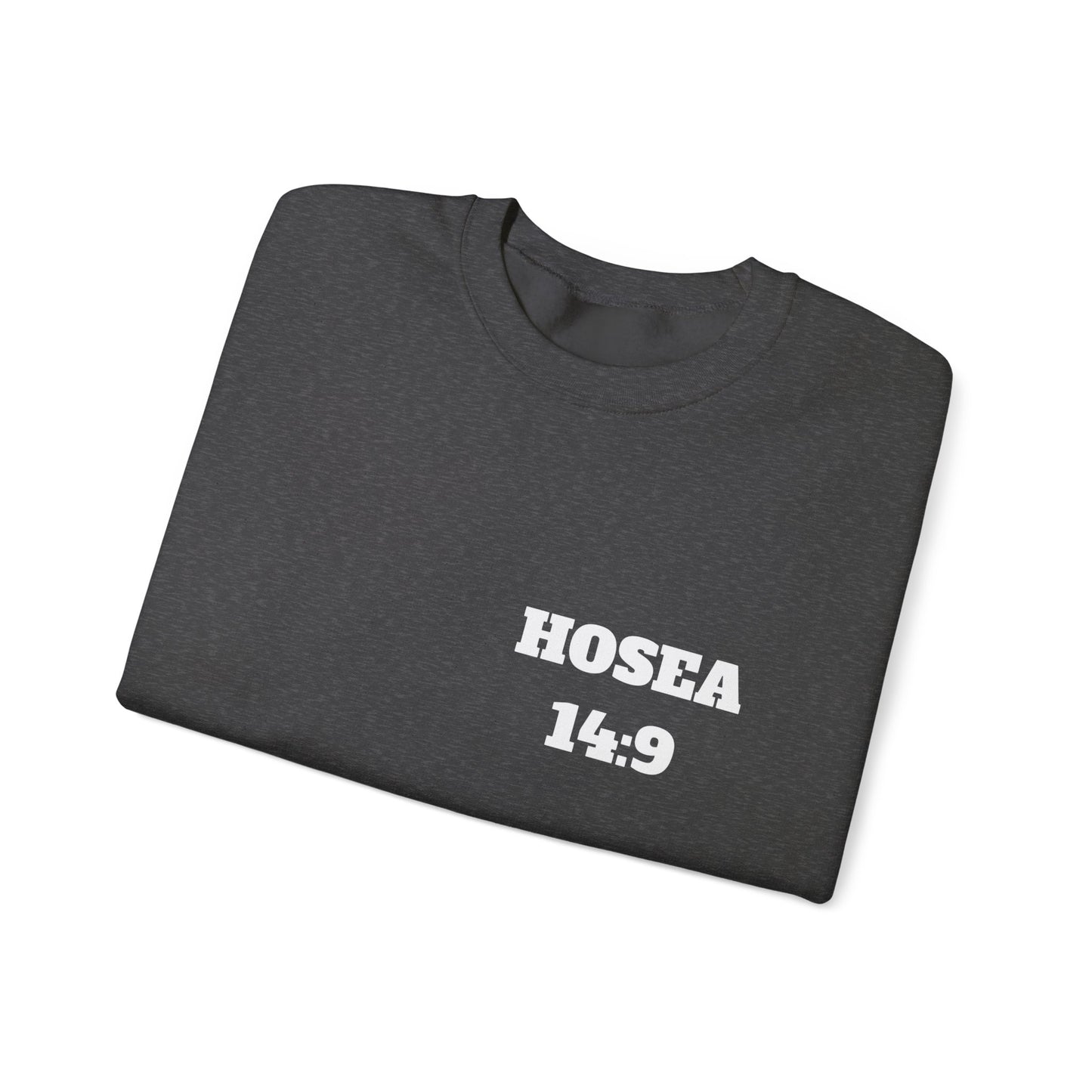 Hosea 14:9 Christian Sweatshirt, Christian Gifts, Christian Back To School Gifts, Church Outfits