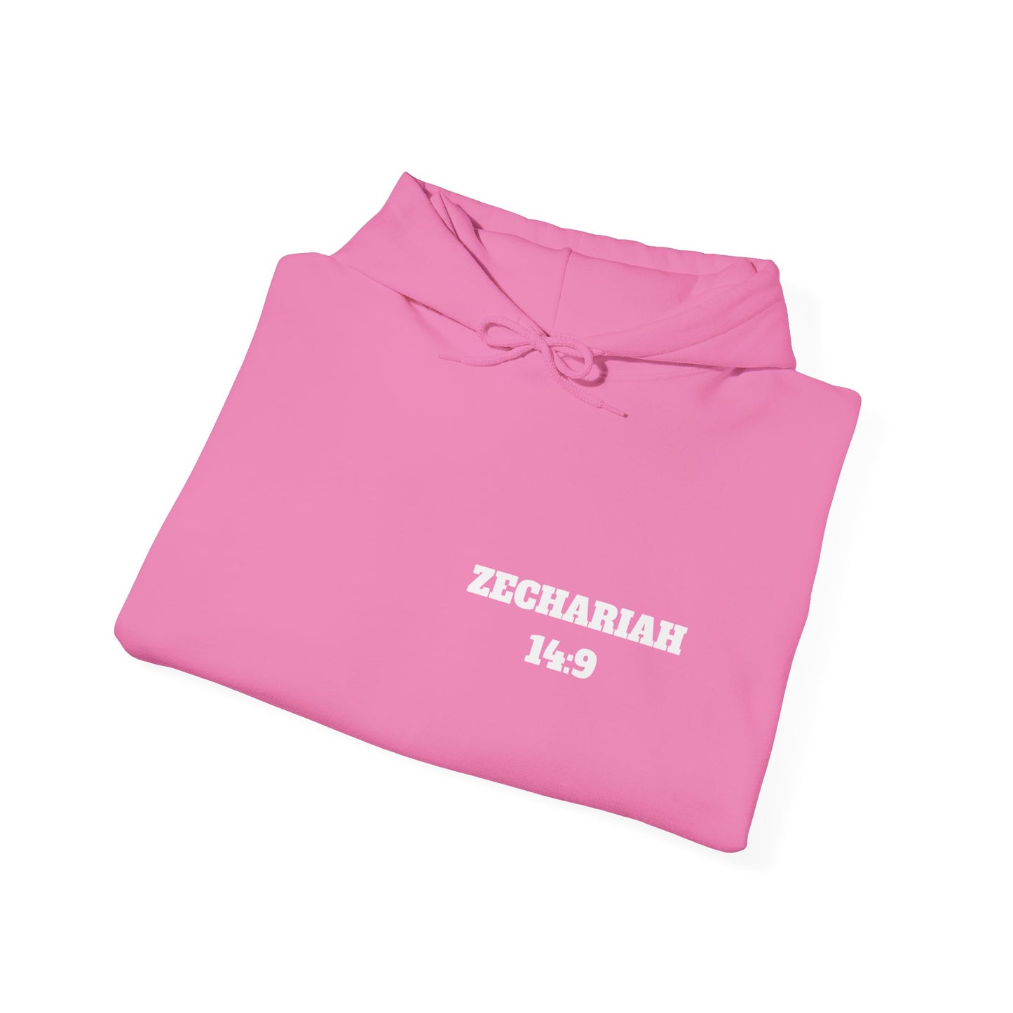 Zechariah 14:9 Christian Hoodie, Christian Gifts, Christian Back To School Gifts, Trendy Christian Apparel