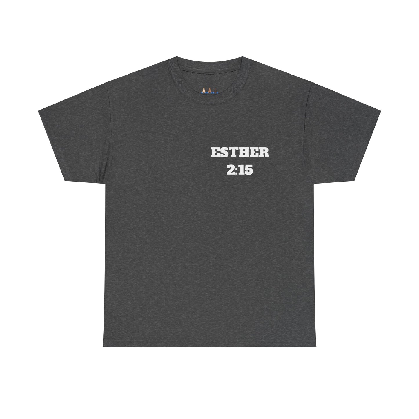 Esther 2:15 Christian T-Shirt, Christian Gifts, Christian Back To School Gifts, Trendy Christian Apparel