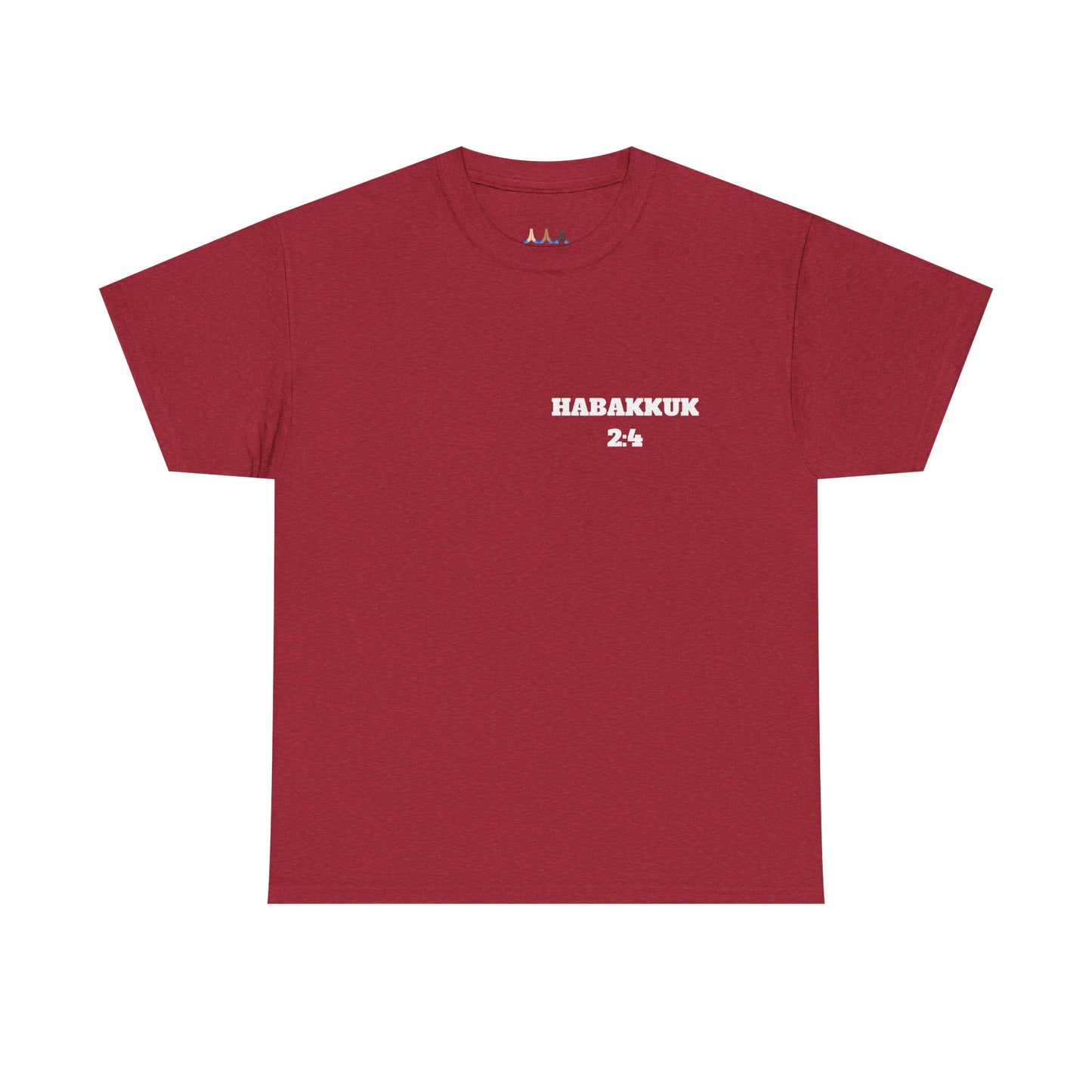 Habakkuk 2:4 Christian T-Shirt, Christian Gifts, Christian Back To School Gifts, Trendy Christian Apparel