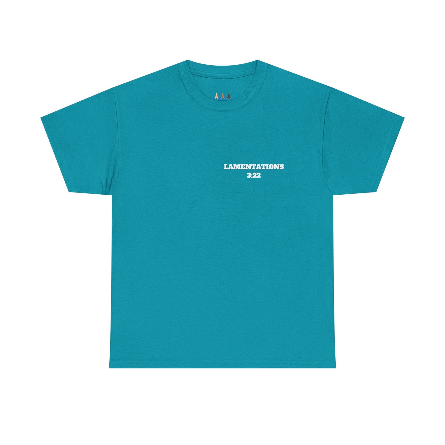 Lamentations 3:22 Christian T-Shirt, Christian Gifts, Christian Back To School Gifts, Trendy Christian Apparel