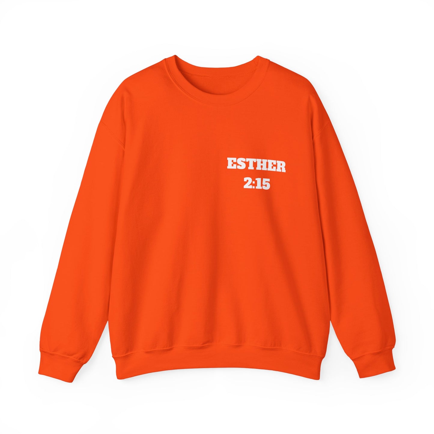 Esther 2:15 Christian Sweatshirt, Christian Gifts, Christian Back To School Gifts, Church Outfits