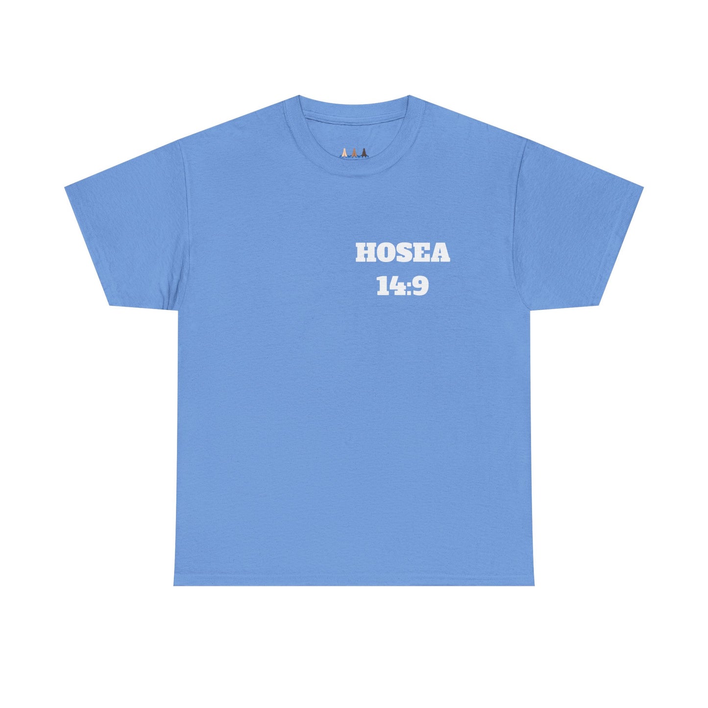 Hosea 14:9 Christian T-Shirt, Christian Gifts, Christian Back To School Gifts, Trendy Christian Apparel