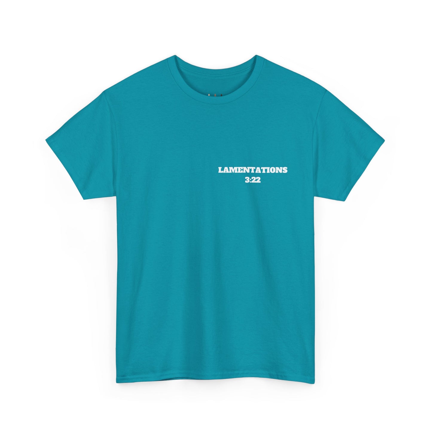 Lamentations 3:22 Christian T-Shirt, Christian Gifts, Christian Back To School Gifts, Trendy Christian Apparel