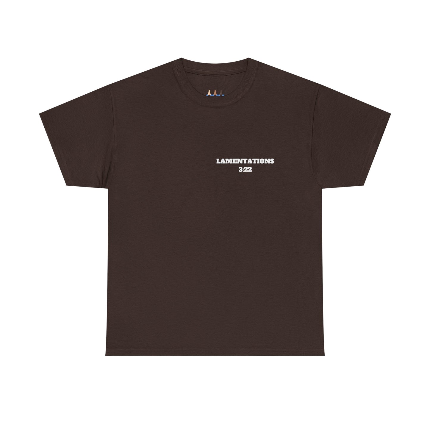 Lamentations 3:22 Christian T-Shirt, Christian Gifts, Christian Back To School Gifts, Trendy Christian Apparel
