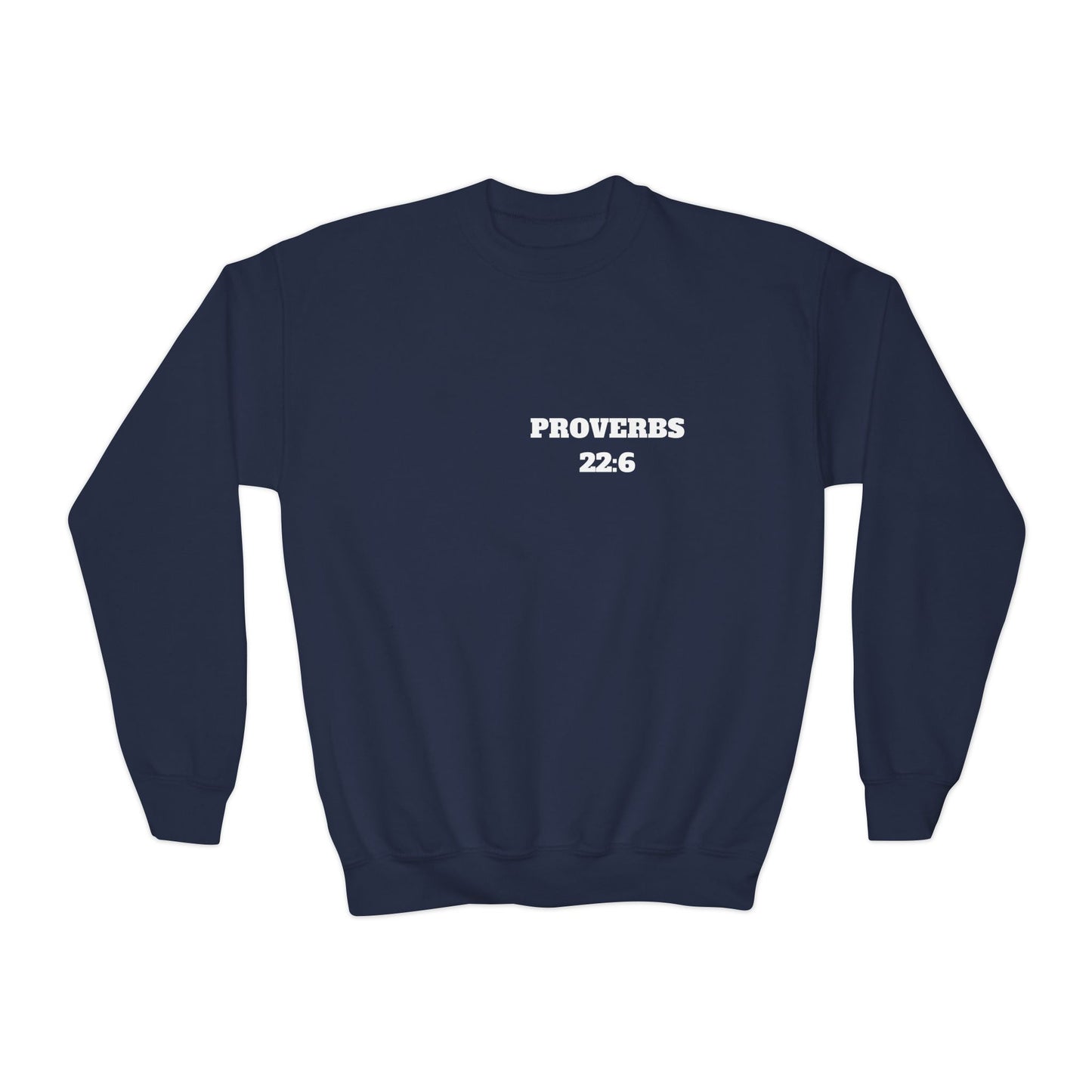 Proverbs 22:6 - Christian Kids Clothing, Kids Christian Shirt, Christian Sweatshirt, Christian Hoodie, Kids Church Shirts, Kids Bible Shirts