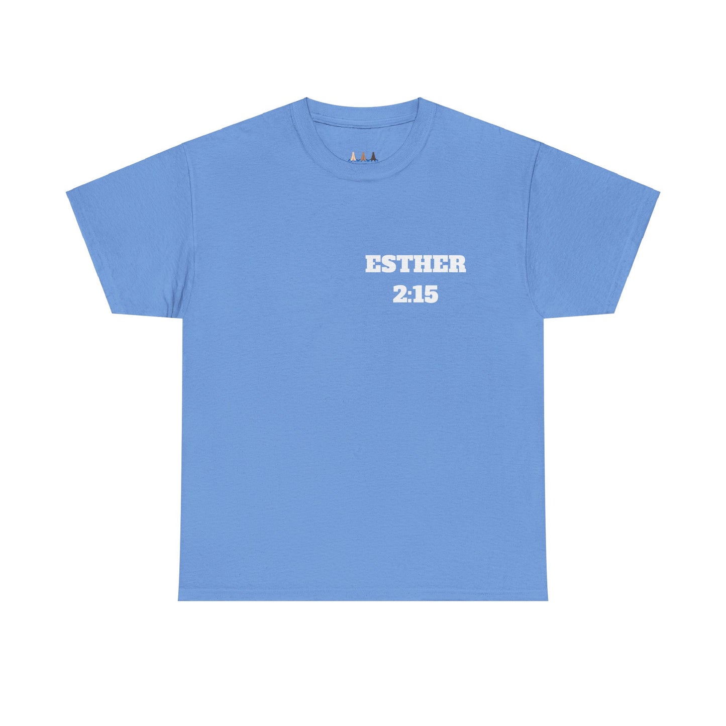 Esther 2:15 Christian T-Shirt, Christian Gifts, Christian Back To School Gifts, Trendy Christian Apparel