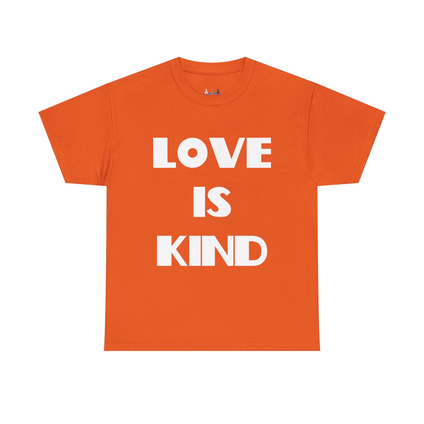 Love Is Kind Christian T-Shirt, Christian Gifts, Christian Back To School Gifts, Trendy Christian Apparel