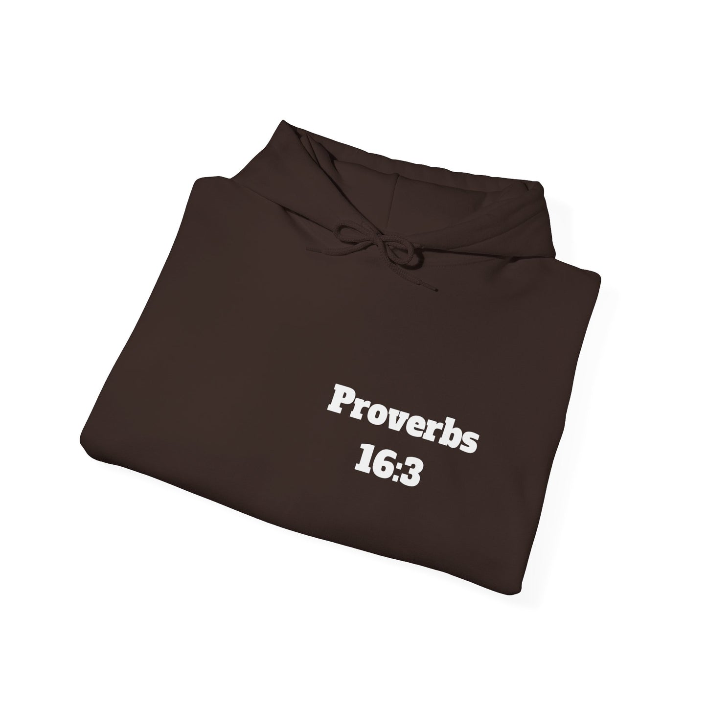 Proverbs 16:3 Christian Hoodie, Christian Gifts, Christian Back To School Gifts, Trendy Christian Apparel