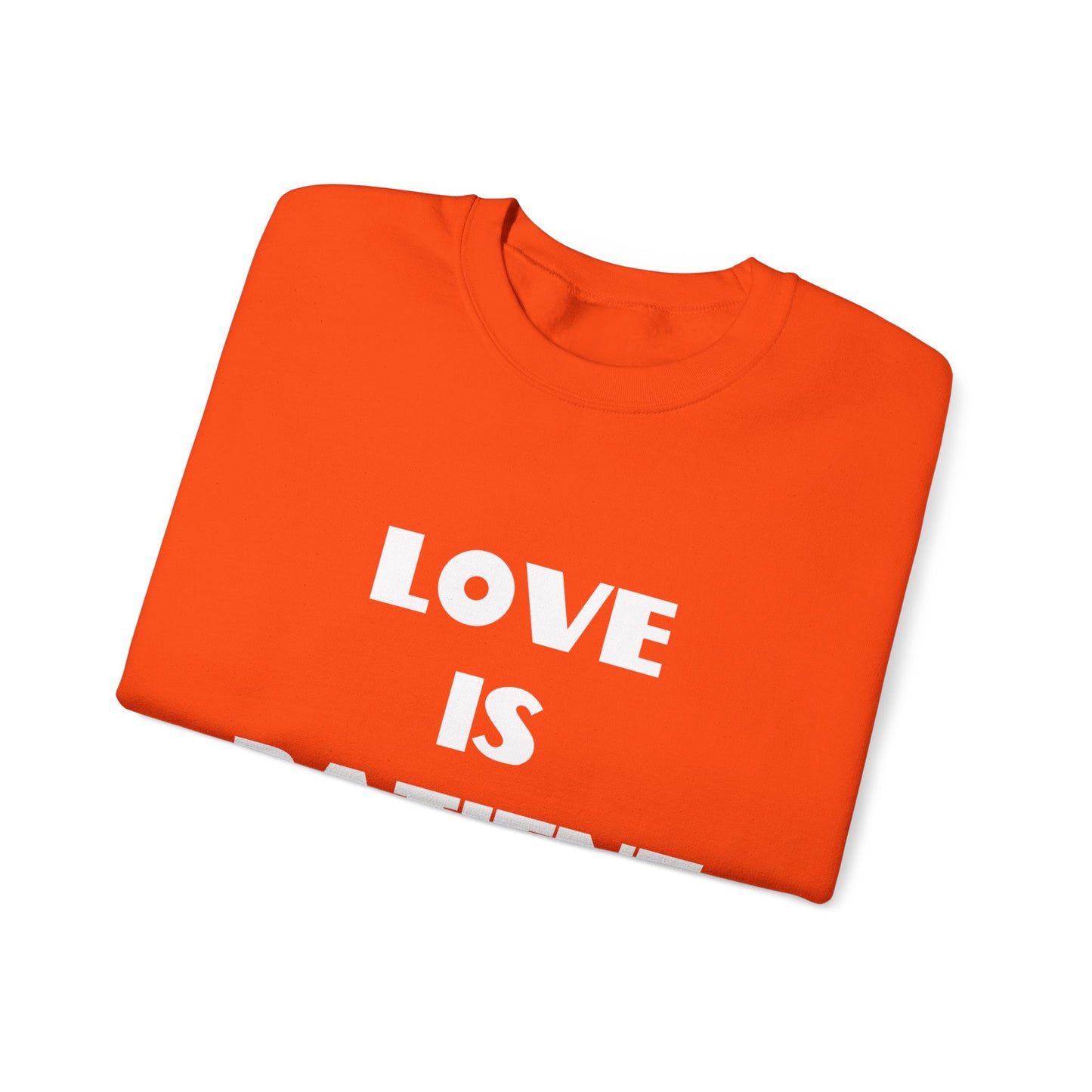 Love is Patient Christian Sweatshirt, Christian Gifts, Christian Back To School Gifts, Church Outfits