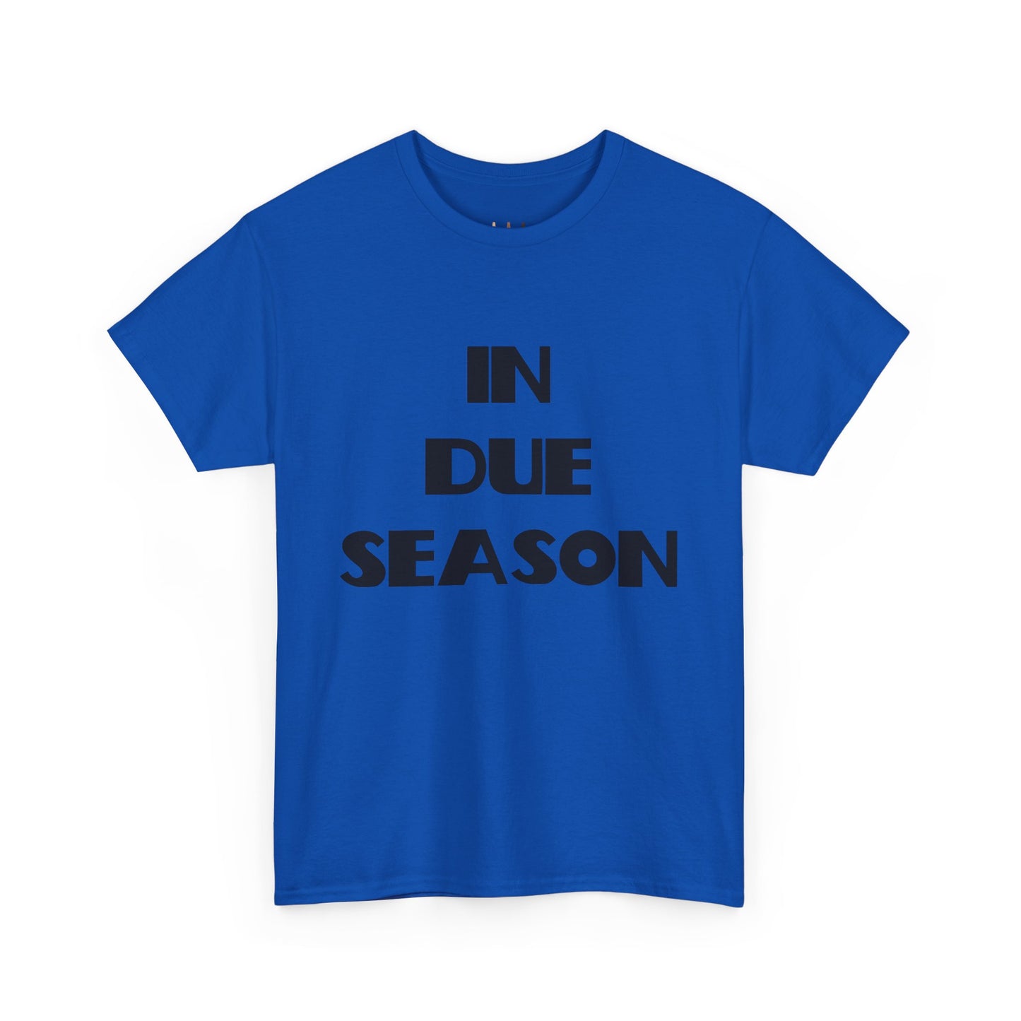 In Due Season Christian T-Shirt, Christian Quotes, Christian Gifts, Christian Back To School Clothes, Church Outfits