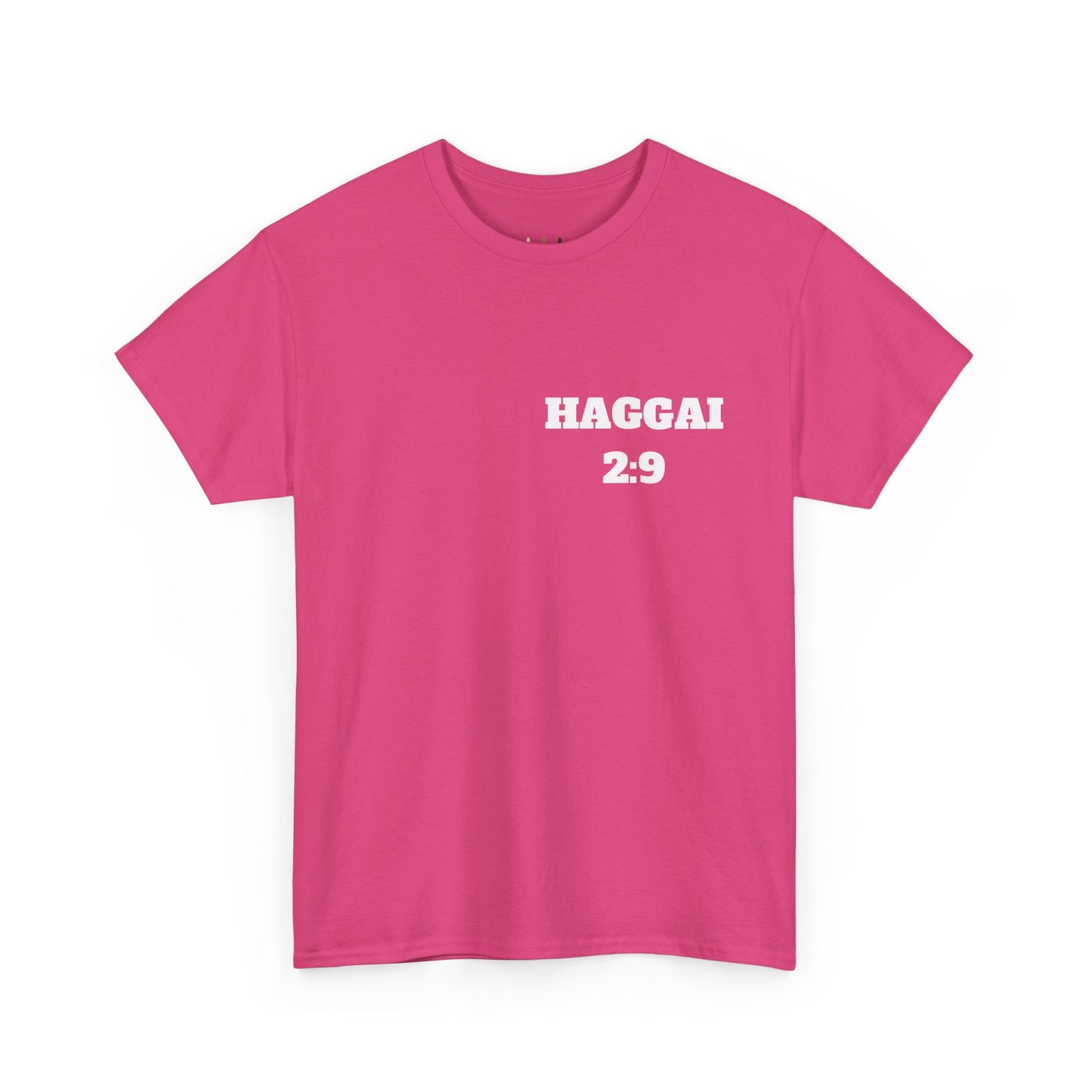 Haggai 2:9 Christian T-Shirt, Christian Gifts, Christian Back To School Gifts, Trendy Christian Apparel