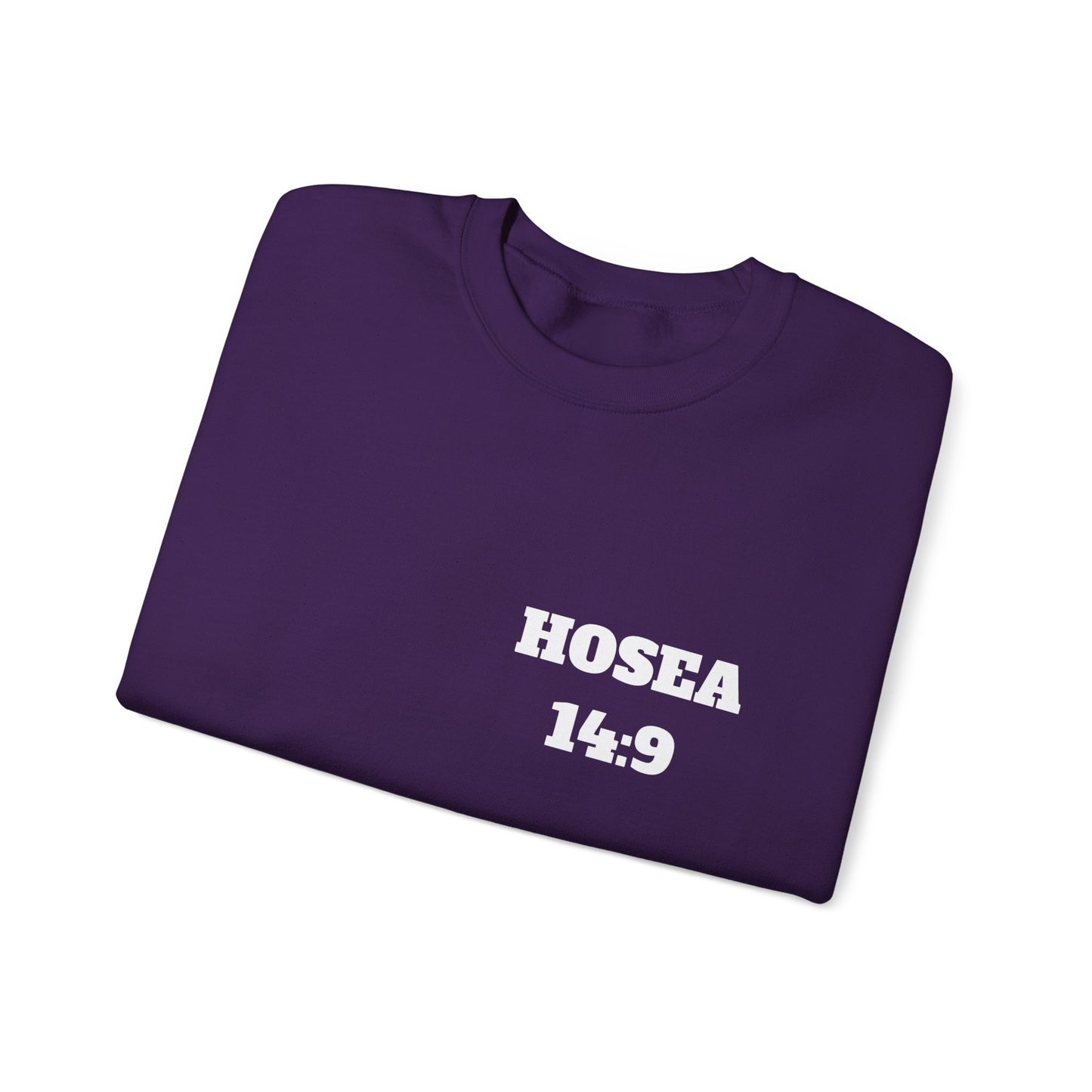 Hosea 14:9 Christian Sweatshirt, Christian Gifts, Christian Back To School Gifts, Church Outfits