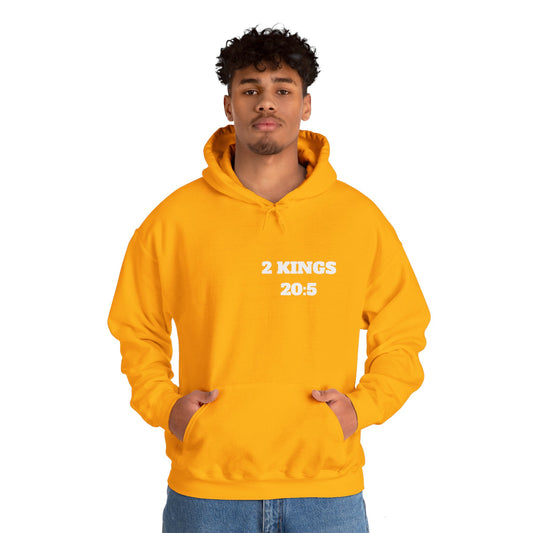 2 Kings 20:5 Christian Hoodie, Christian Gifts, Christian Back To School Gifts, Trendy Christian Apparel
