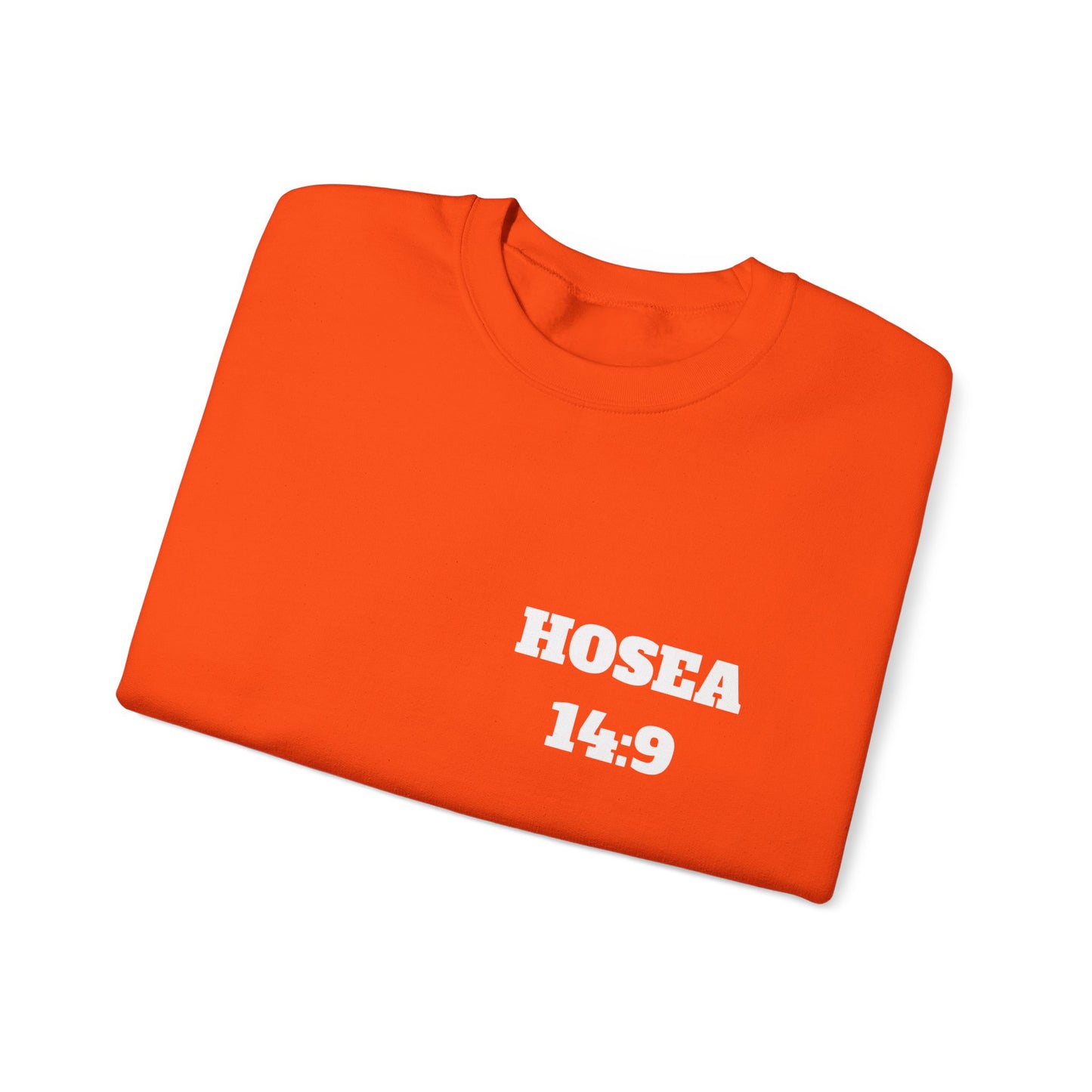Hosea 14:9 Christian Sweatshirt, Christian Gifts, Christian Back To School Gifts, Church Outfits