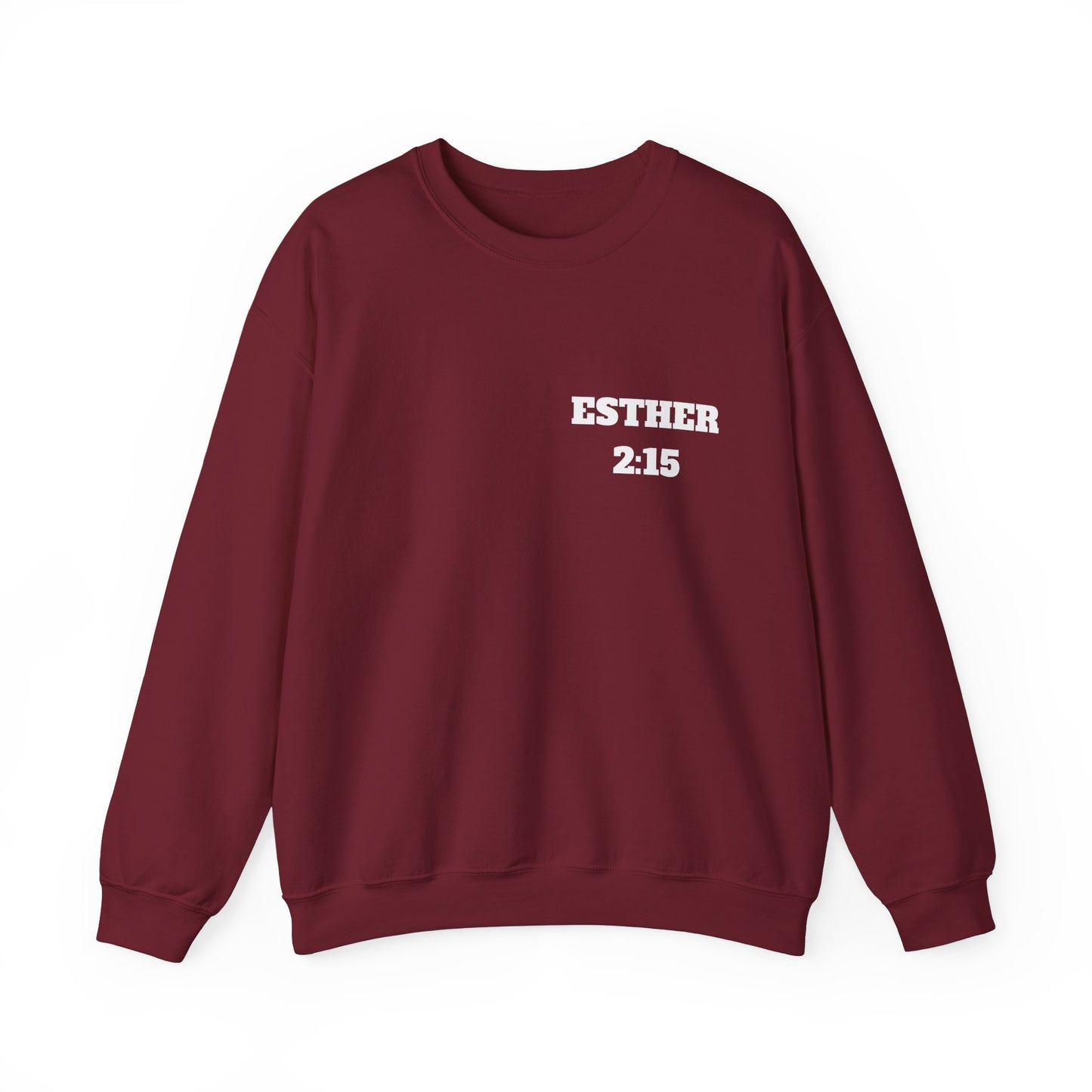 Esther 2:15 Christian Sweatshirt, Christian Gifts, Christian Back To School Gifts, Church Outfits
