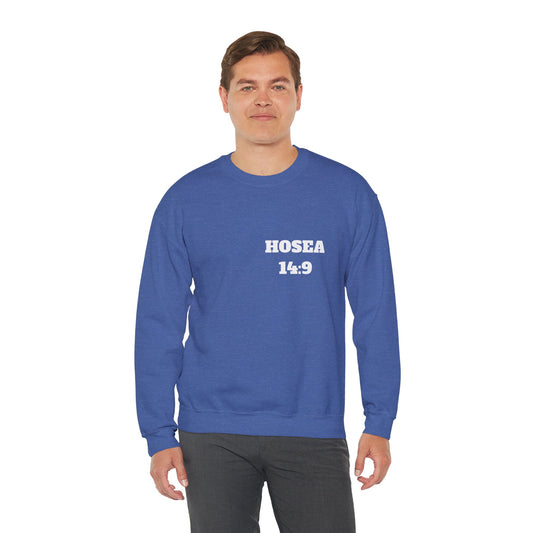 Hosea 14:9 Christian Sweatshirt, Christian Gifts, Christian Back To School Gifts, Church Outfits