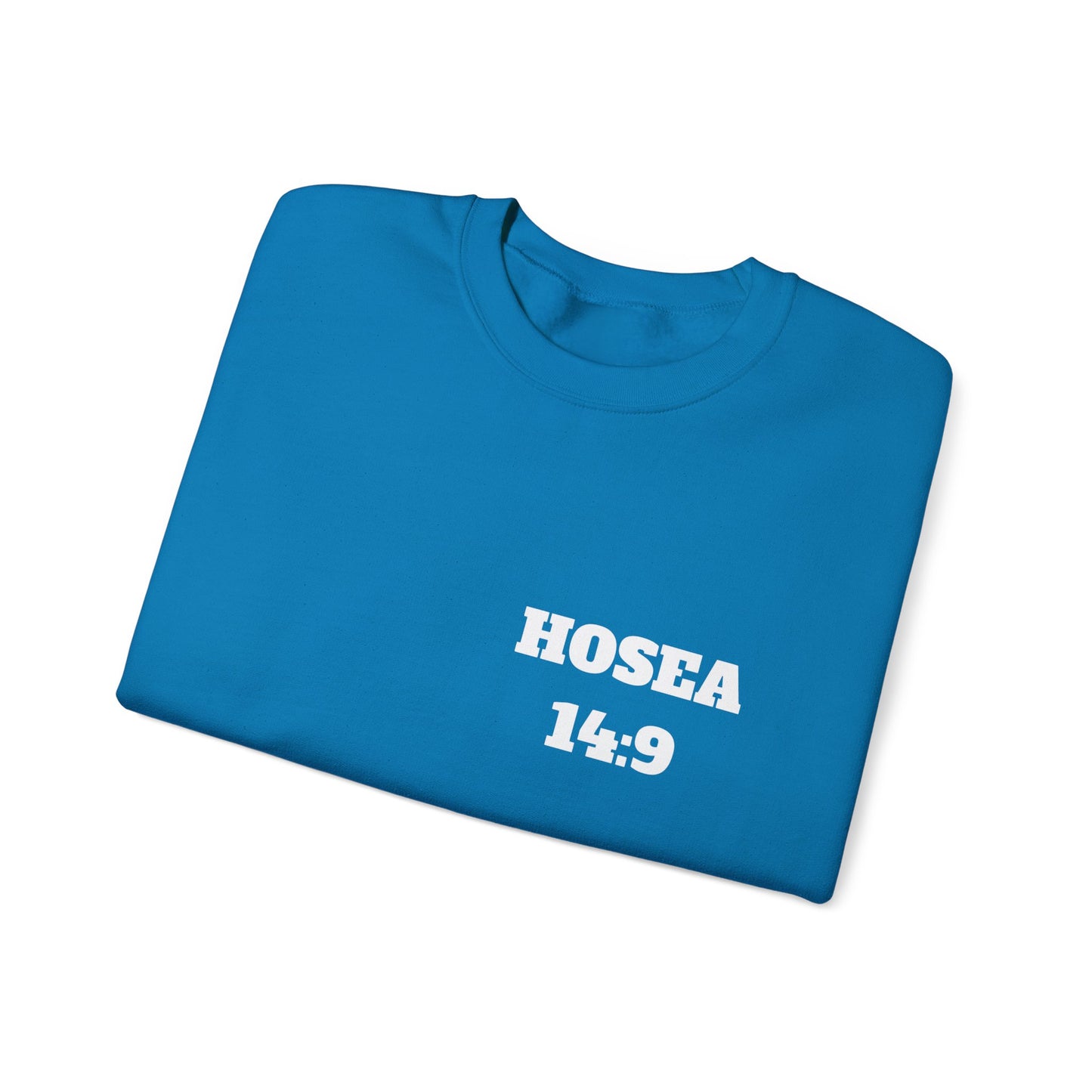 Hosea 14:9 Christian Sweatshirt, Christian Gifts, Christian Back To School Gifts, Church Outfits