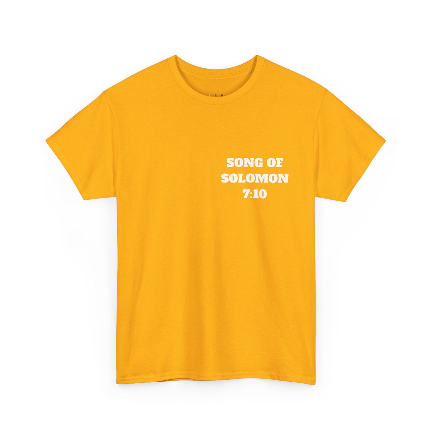 Song Of Solomon 7:10 Christian T-Shirt, Christian Gifts, Christian Back To School Gifts, Trendy Christian Apparel