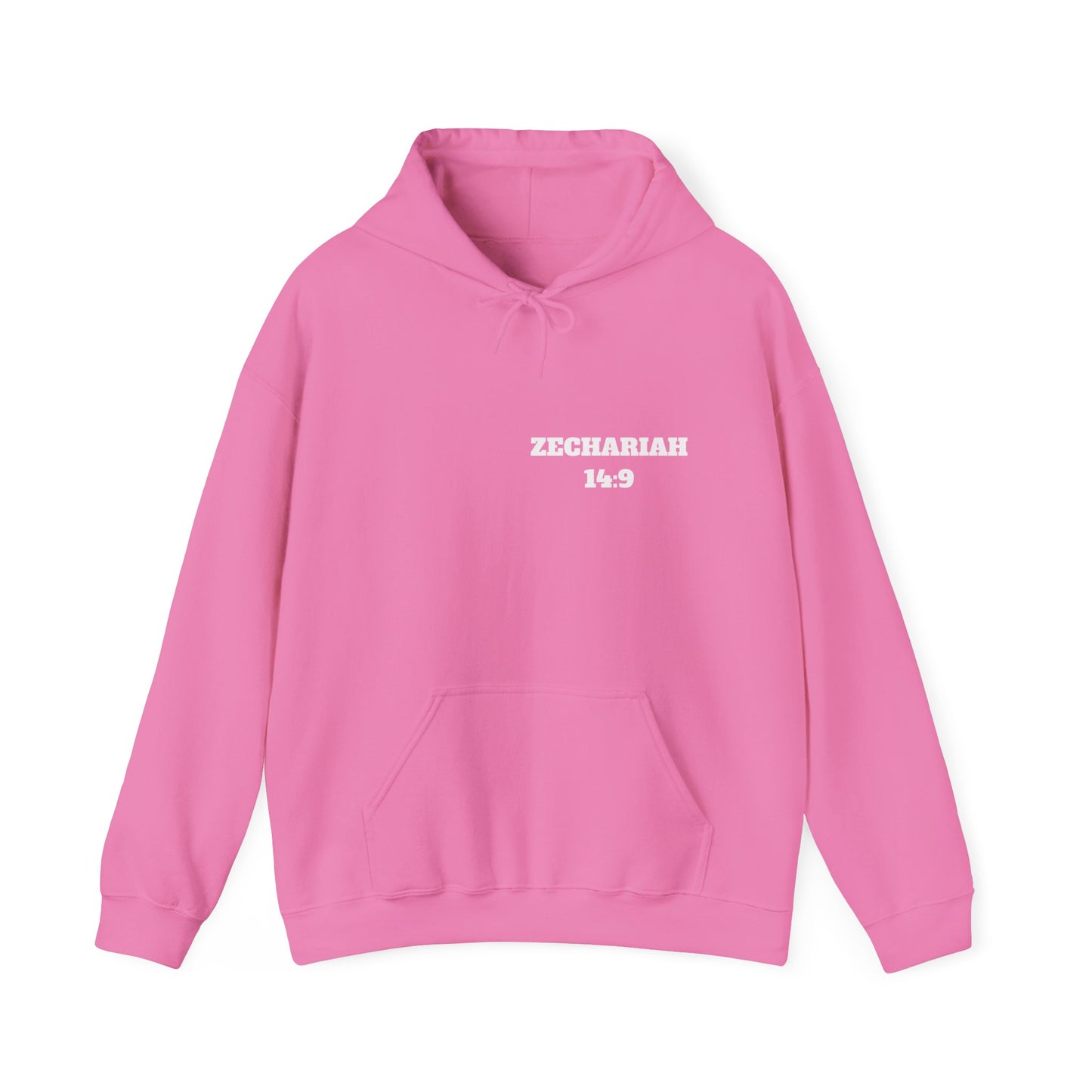 Zechariah 14:9 Christian Hoodie, Christian Gifts, Christian Back To School Gifts, Trendy Christian Apparel