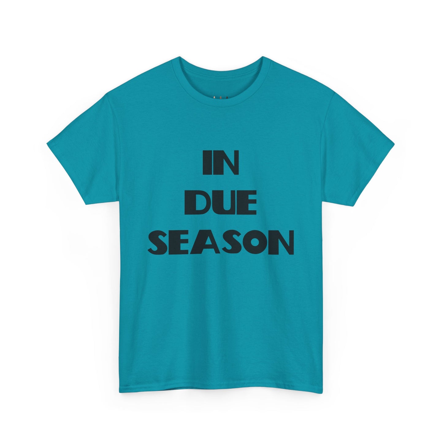 In Due Season Christian T-Shirt, Christian Quotes, Christian Gifts, Christian Back To School Clothes, Church Outfits