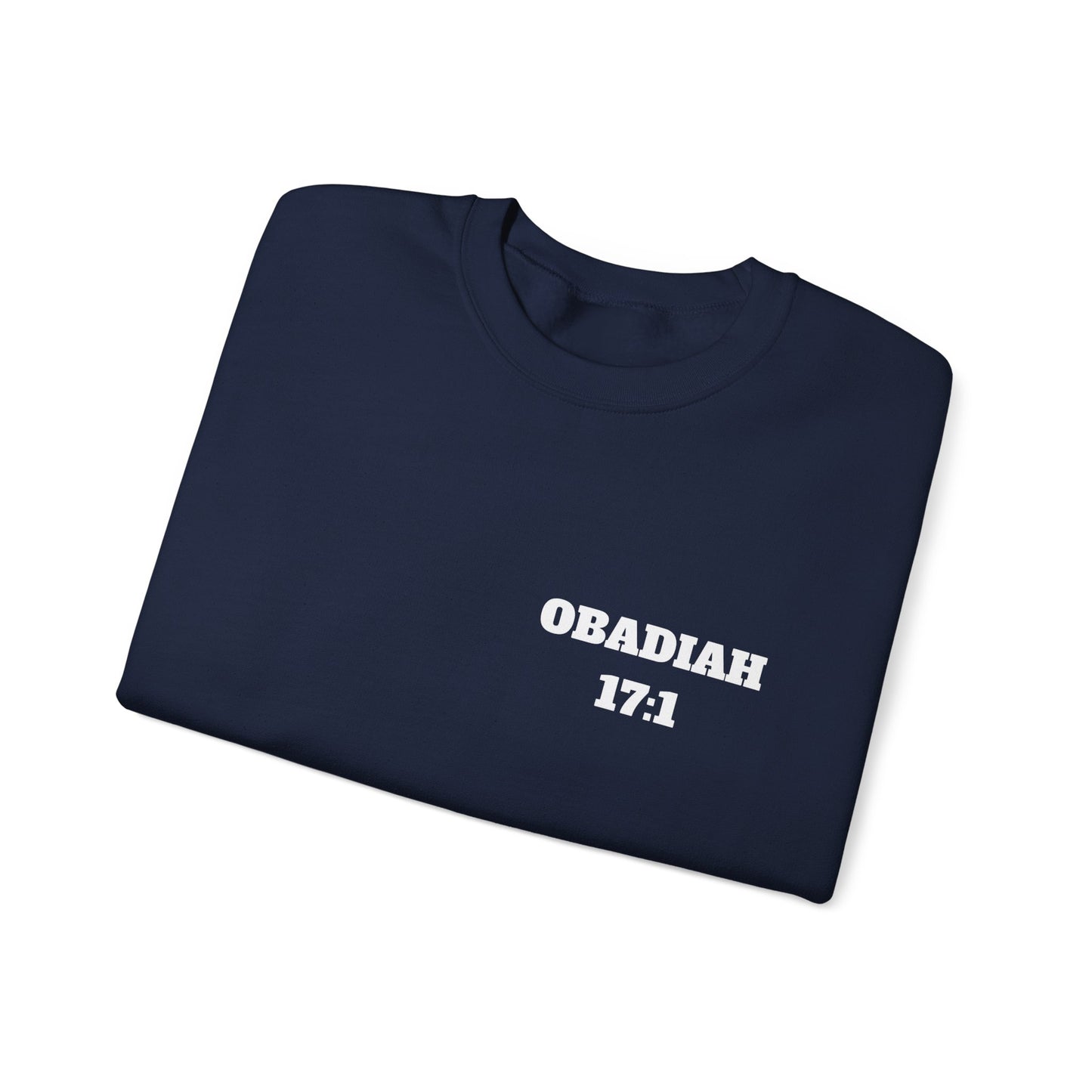 Obadiah 17:1 Christian Sweatshirt, Christian Gifts, Christian Back To School Gifts, Church Outfits