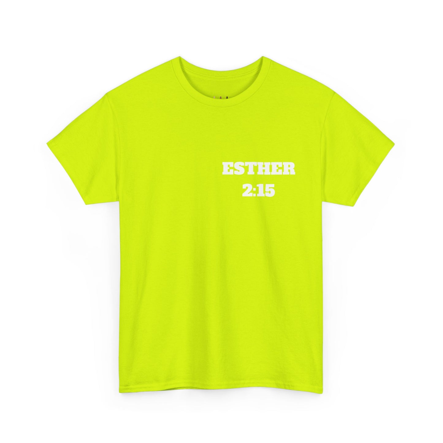 Esther 2:15 Christian T-Shirt, Christian Gifts, Christian Back To School Gifts, Trendy Christian Apparel
