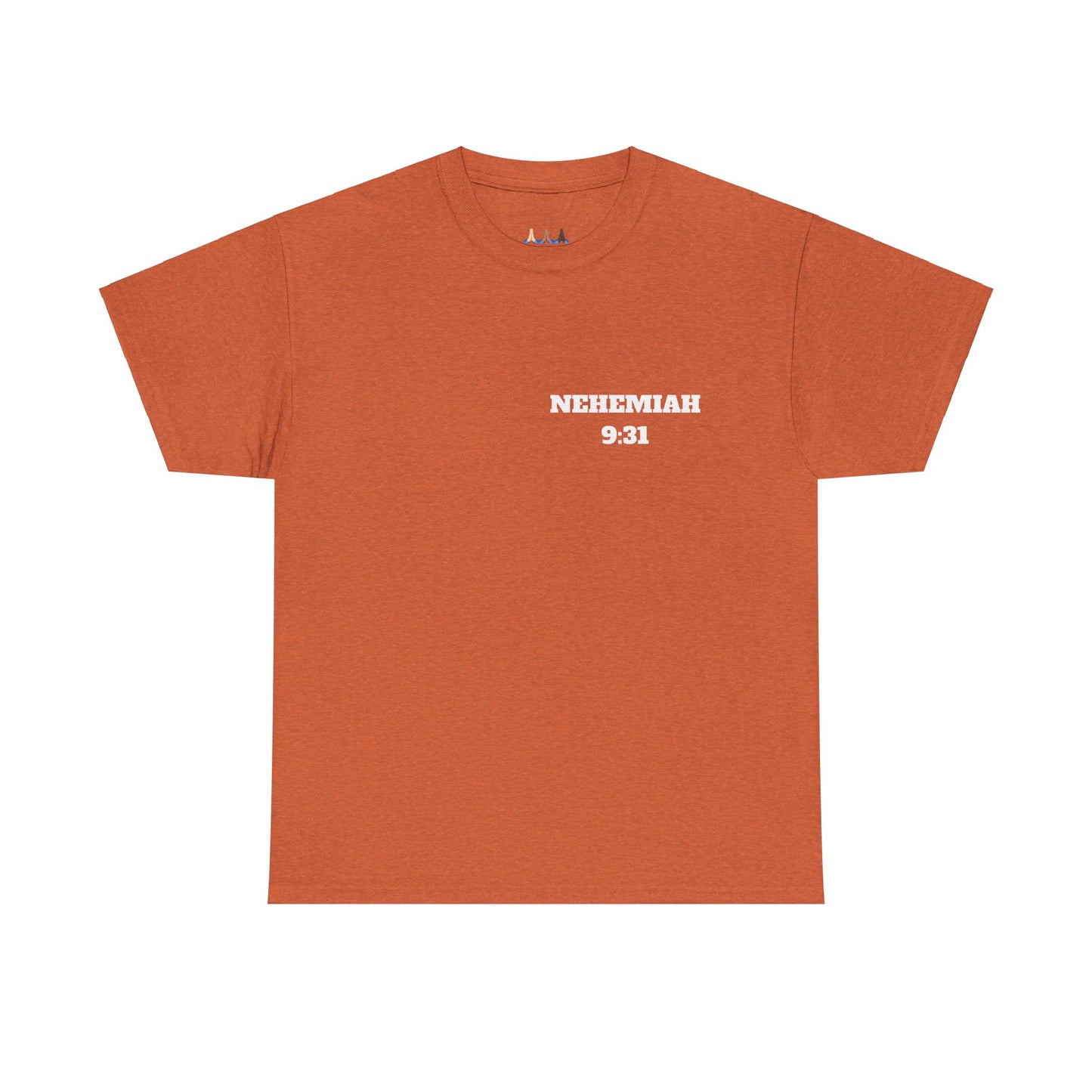 Nehemiah 9:31 Christian T-Shirt, Christian Gifts, Christian Back To School Gifts, Trendy Christian Apparel