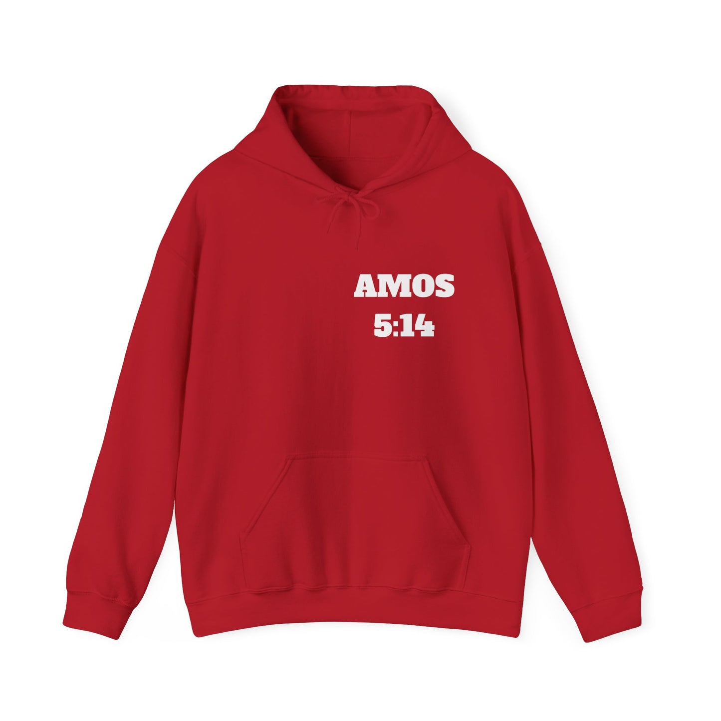 Amos 5:14 Christian T-Shirt, Christian Gifts, Christian Back To School Gifts, Trendy Christian Apparel