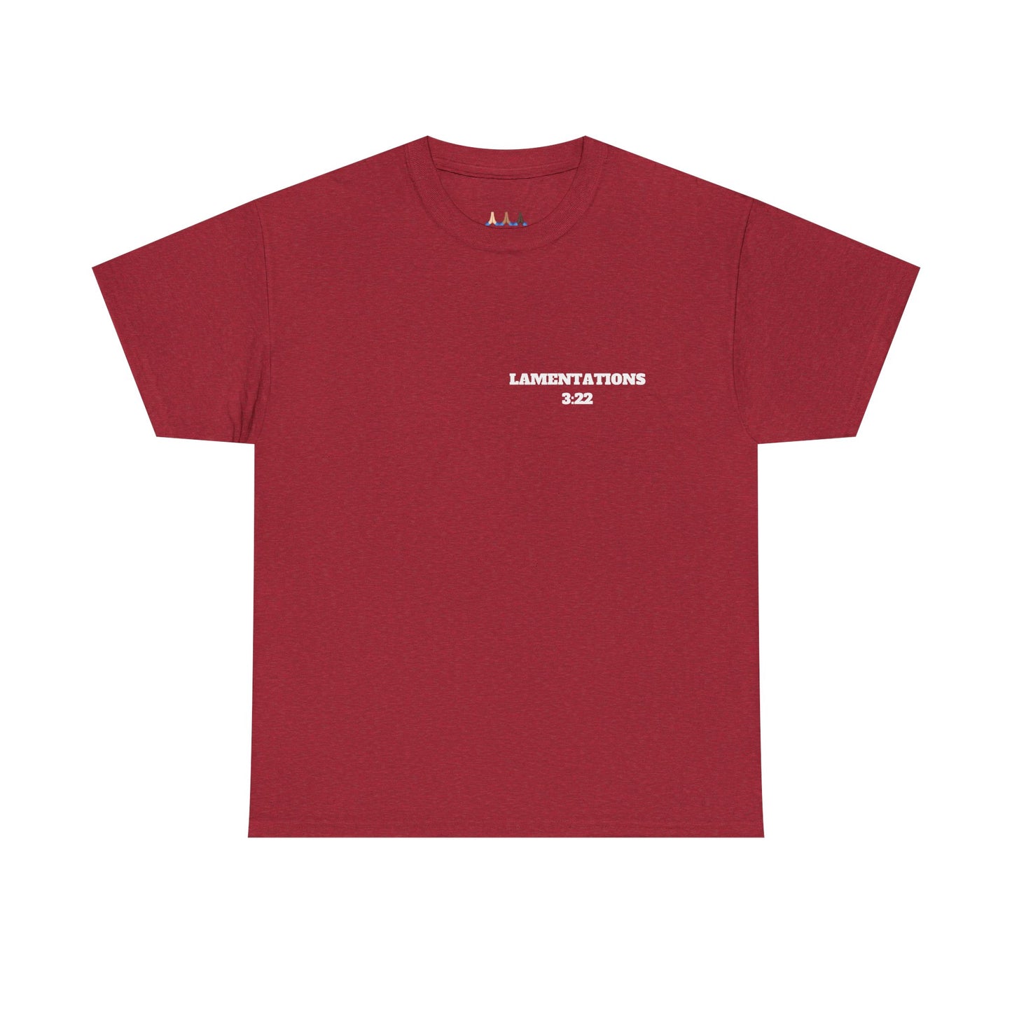 Lamentations 3:22 Christian T-Shirt, Christian Gifts, Christian Back To School Gifts, Trendy Christian Apparel