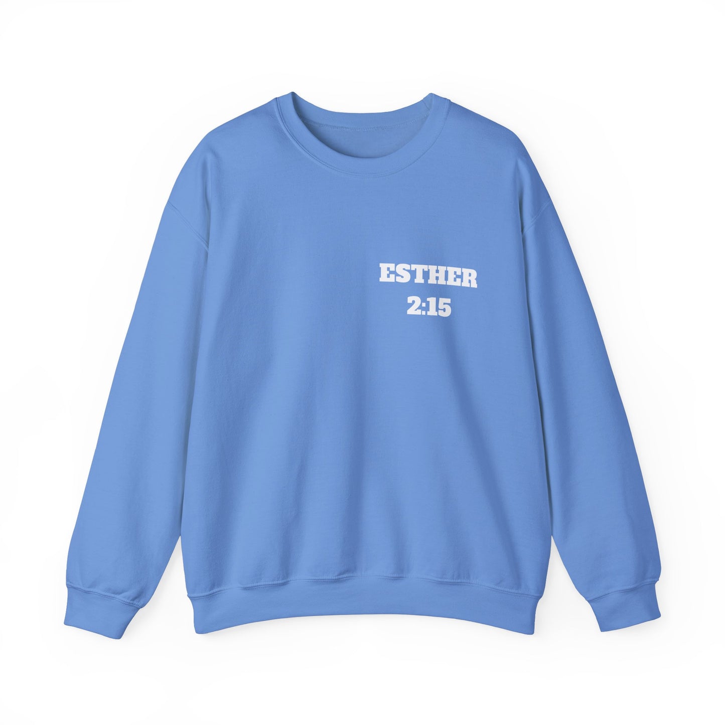Esther 2:15 Christian Sweatshirt, Christian Gifts, Christian Back To School Gifts, Church Outfits