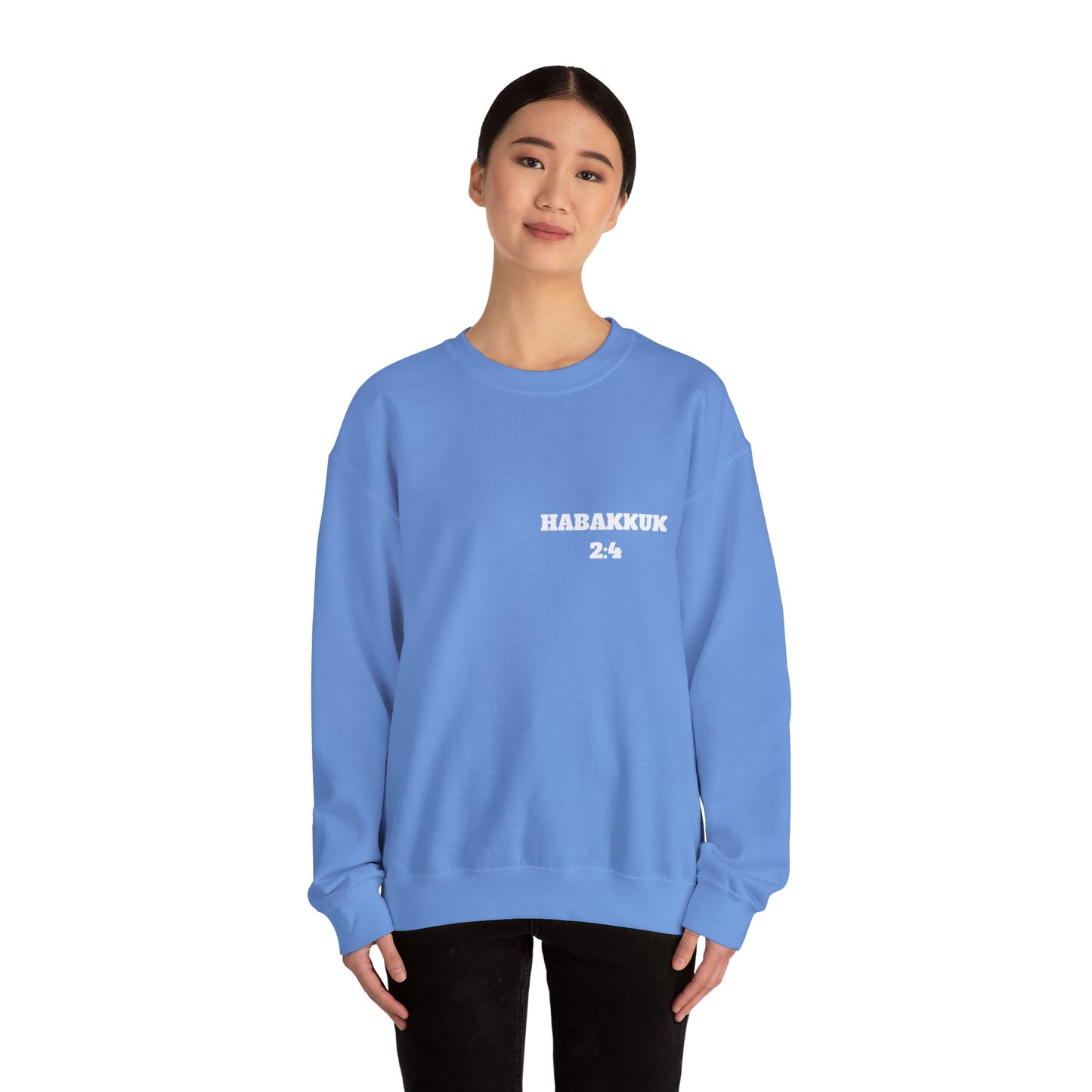 Habakkuk 2:4 Christian Sweatshirt, Christian Gifts, Christian Back To School Gifts, Church Outfits