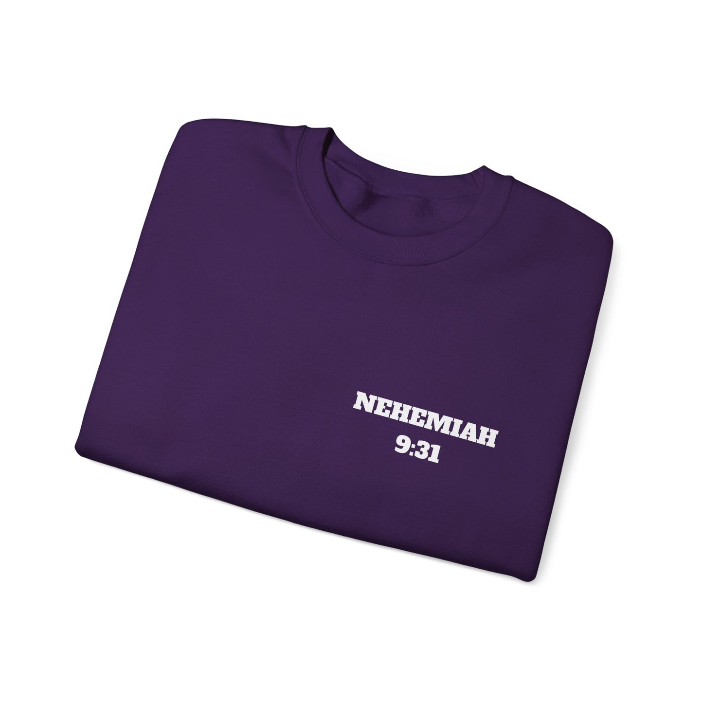 Nehemiah 9:31 Christian Sweatshirt, Christian Gifts, Christian Back To School Gifts, Church Outfits