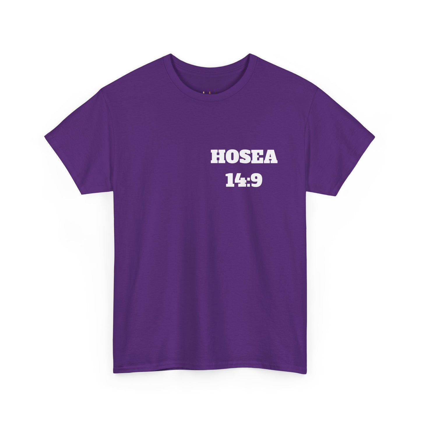 Hosea 14:9 Christian T-Shirt, Christian Gifts, Christian Back To School Gifts, Trendy Christian Apparel